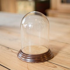 Small Antique Display Dome, English, Glass, Oak, Taxidermy, Showcase, Edwardian