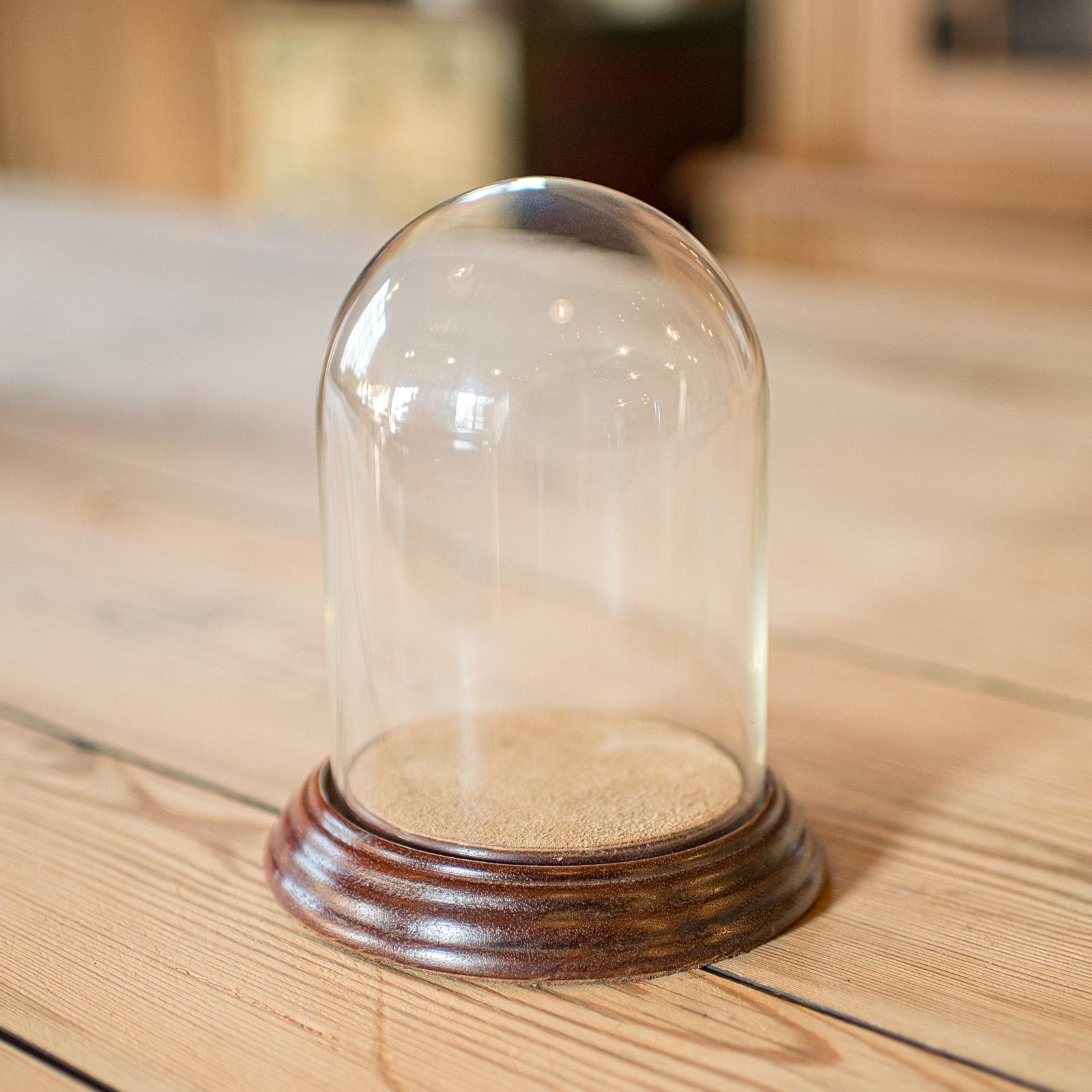 Early 20th Century Small Antique Display Dome, English, Glass, Oak, Taxidermy, Showcase, Edwardian For Sale