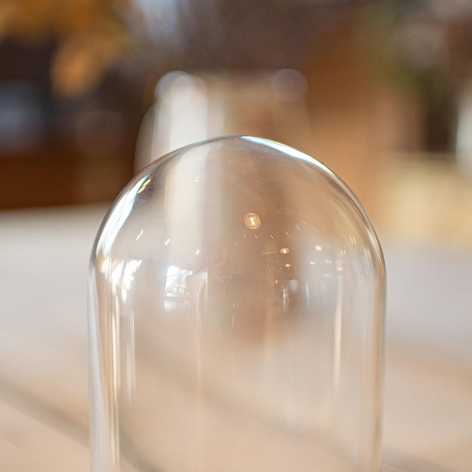 Small Antique Display Dome, English, Glass, Oak, Taxidermy, Showcase, Edwardian For Sale 1