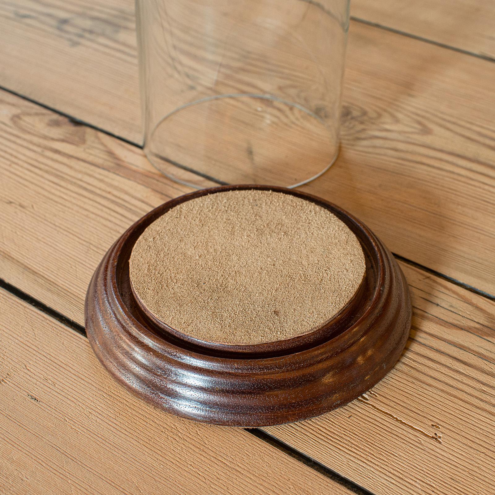 Small Antique Display Dome, English, Glass, Oak, Taxidermy, Showcase, Edwardian For Sale 2