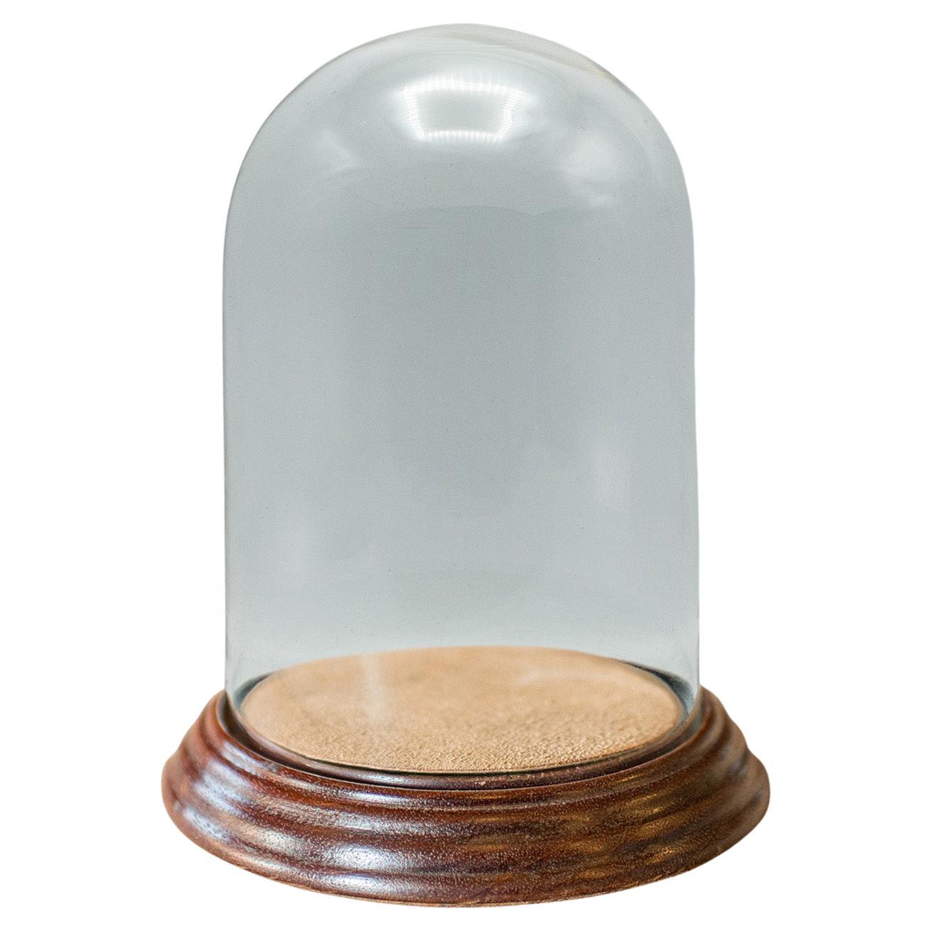 Kleines antikes Display Dome, Englisch, Glas, Eiche, Taxidermie, Vitrine, Edwardian
