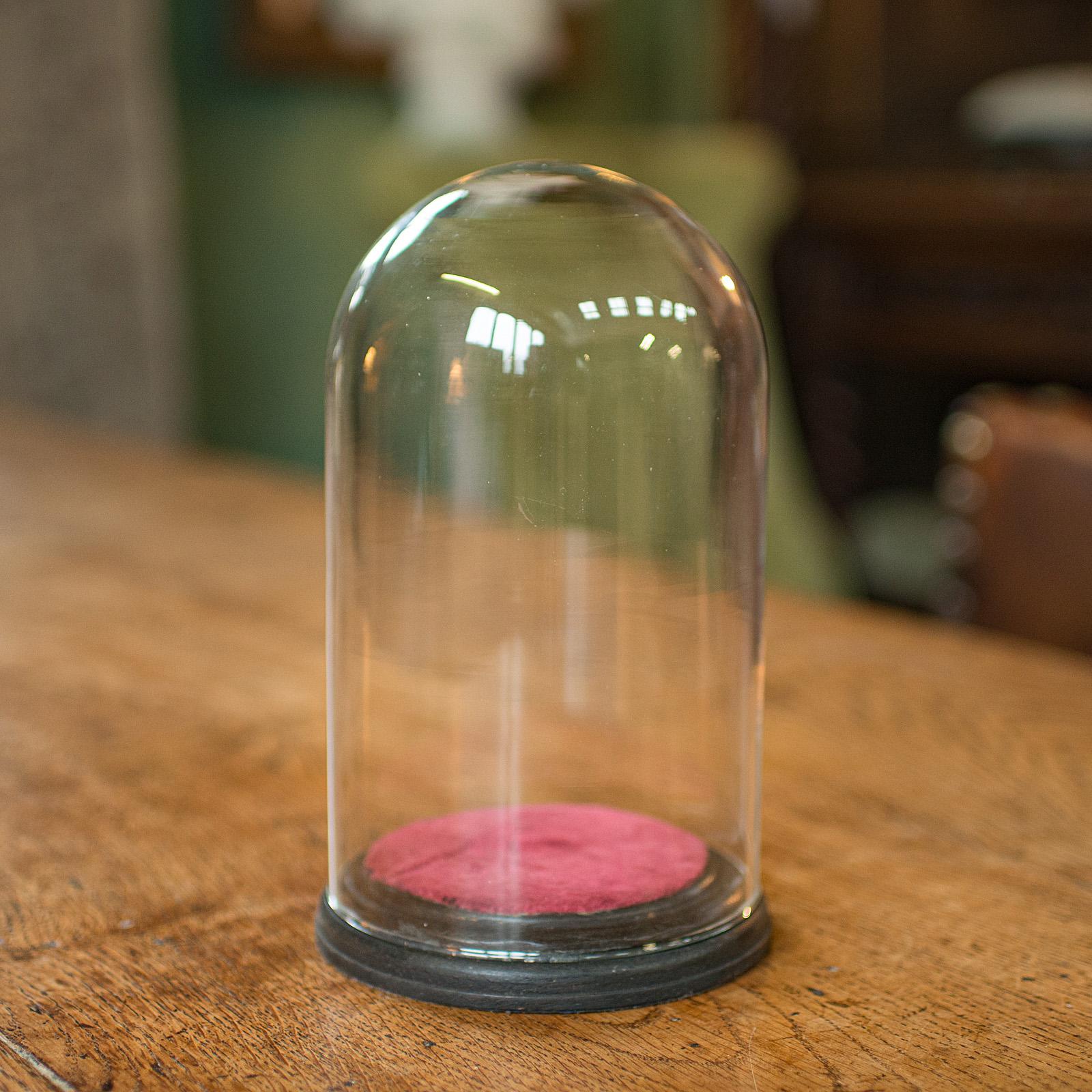 This is a small antique display dome. An English, glass taxidermy specimen or decorative collectible showcase, dating to the late Victorian period, circa 1890.

Pleasingly petite, with a bright appearance to showcase smaller items
Displaying a