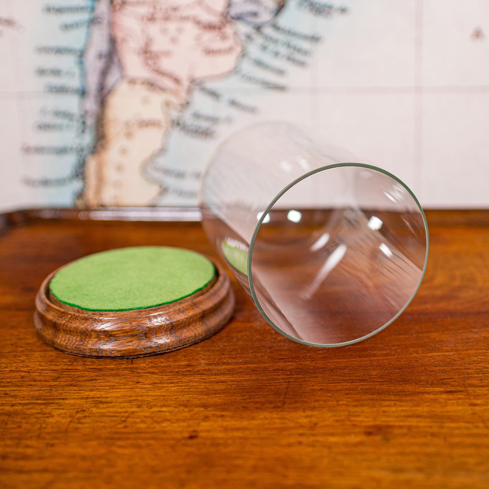 Petit dôme d'exposition ancien, anglais, verre, vitrine de spécimen, édouardien, C.C.1910 en vente 2