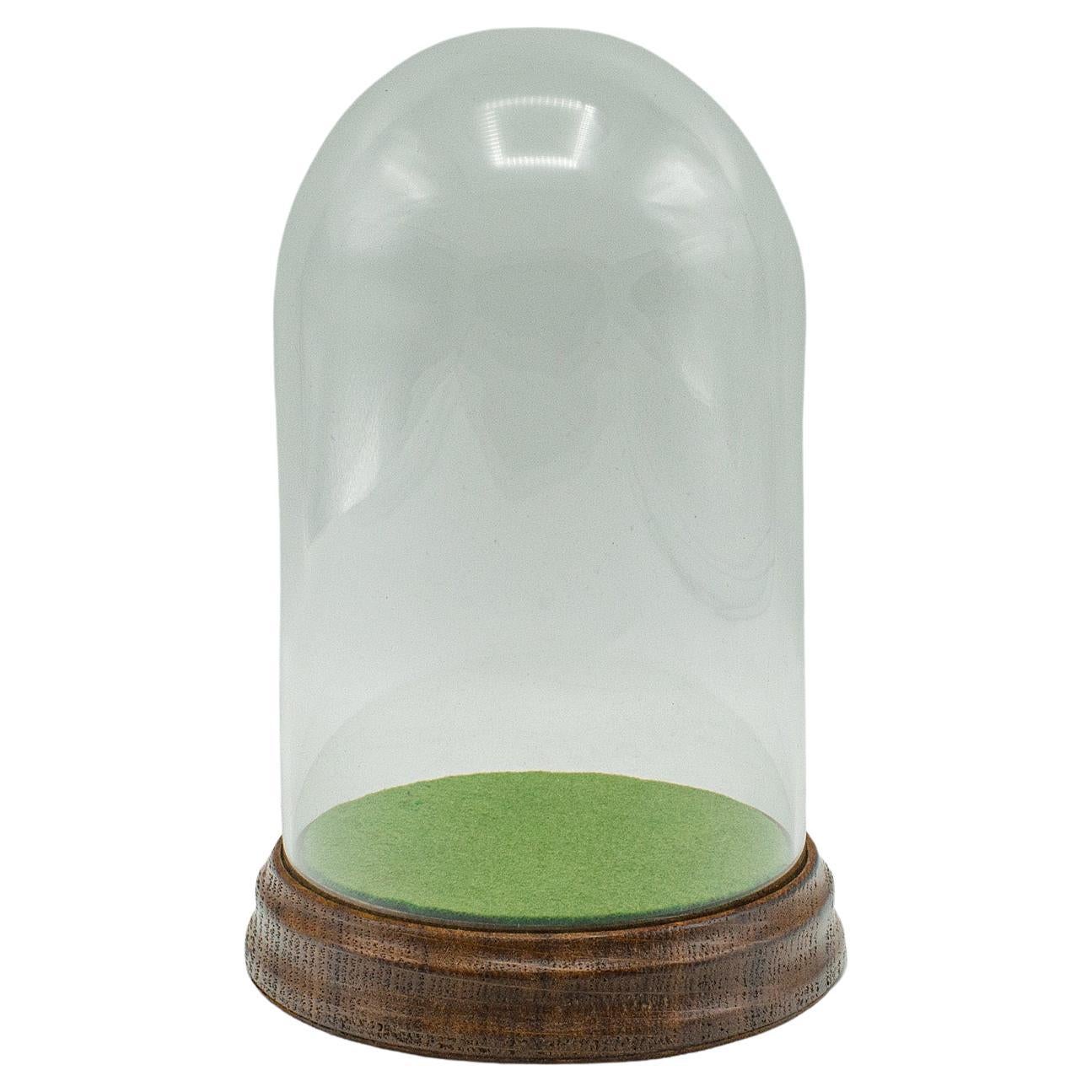 Petit dôme d
exposition ancien, anglais, verre, vitrine de spécimen, édouardien, C.C.1910 en vente