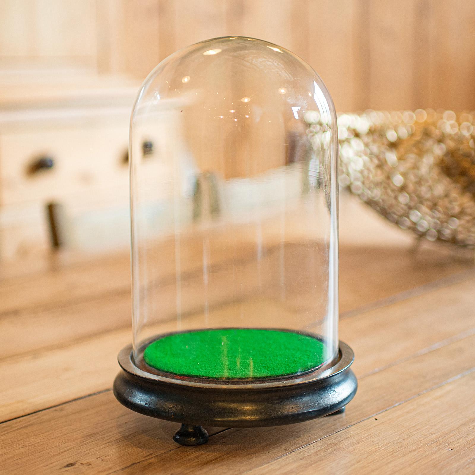 British Small Antique Display Dome, English, Taxidermy, Specimen, Showcase, Victorian For Sale