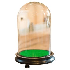 Small Antique Display Dome, English, Taxidermy, Specimen, Showcase, Victorian