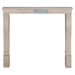 Petit manteau de cheminée antique pour The Modernity Timeless Living