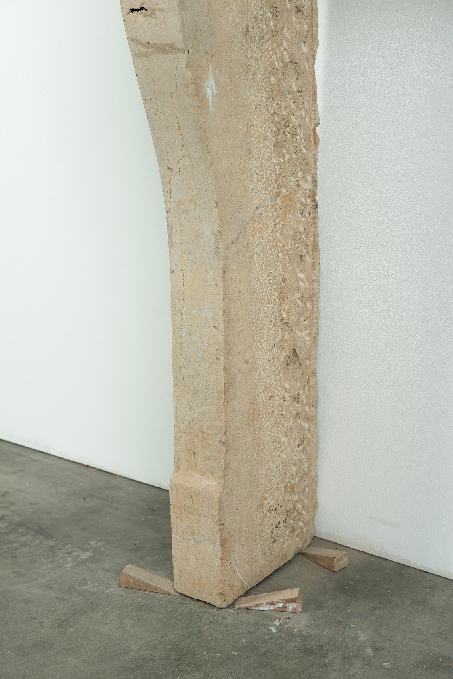Pequeña repisa de chimenea francesa antigua de piedra caliza Campagnard, Siglo XIX 7