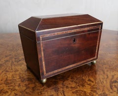 Antike georgianische Sarkophag-Teedose in Form eines Sarkophags. Englisch C.1830