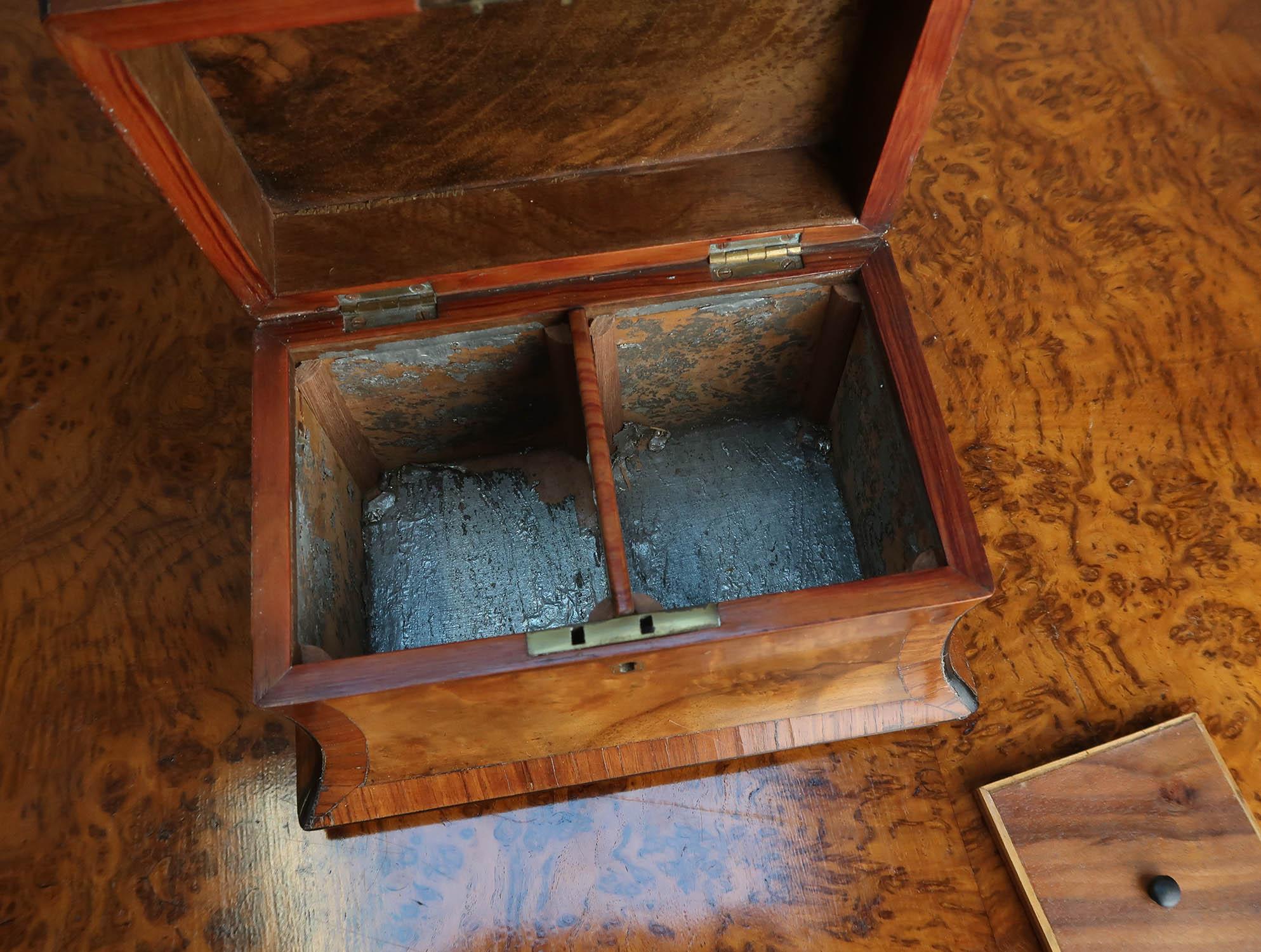 Small Antique Regency Burr Walnut Tea Caddy. English C.1820 5