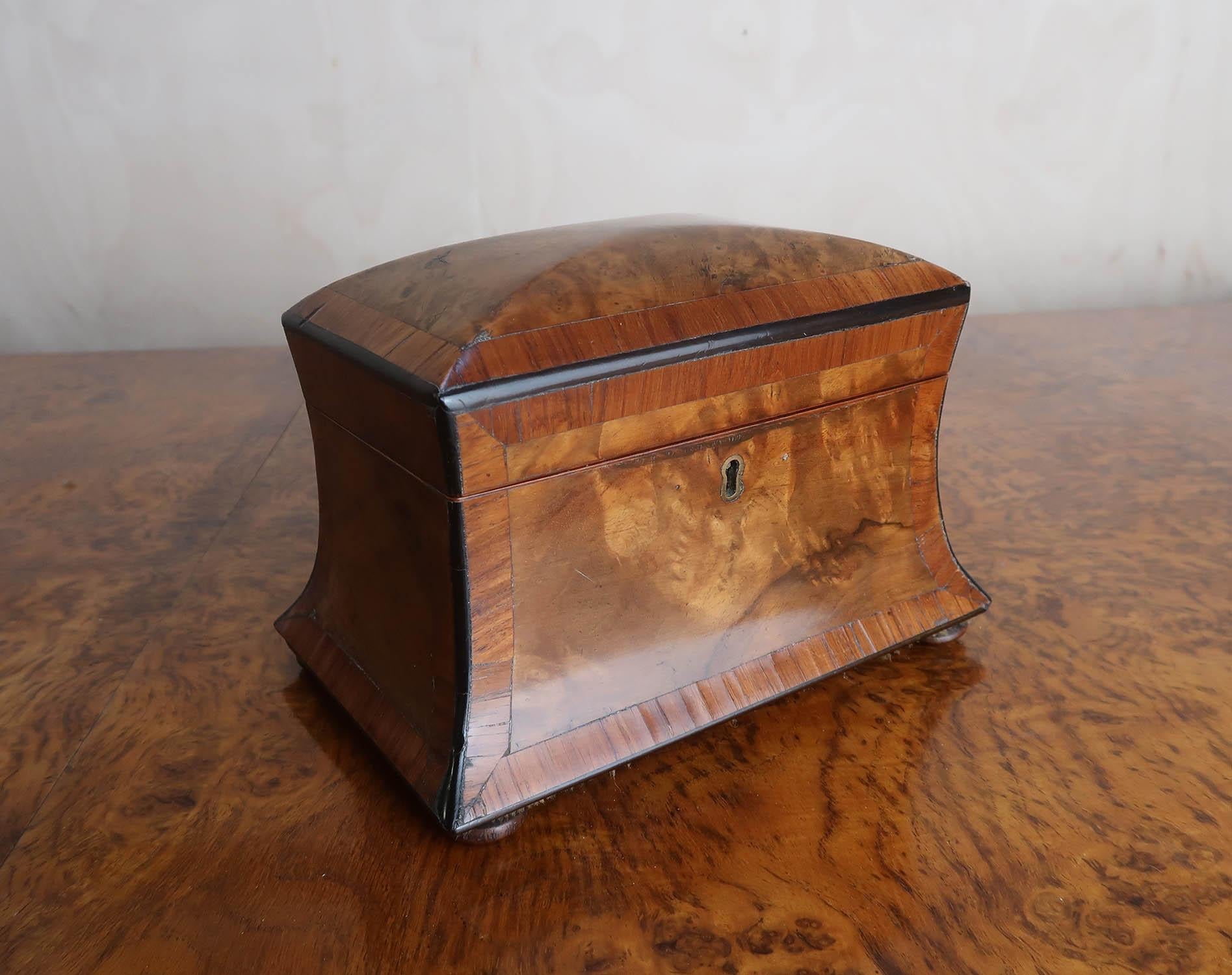 Veneer Small Antique Regency Burr Walnut Tea Caddy. English C.1820