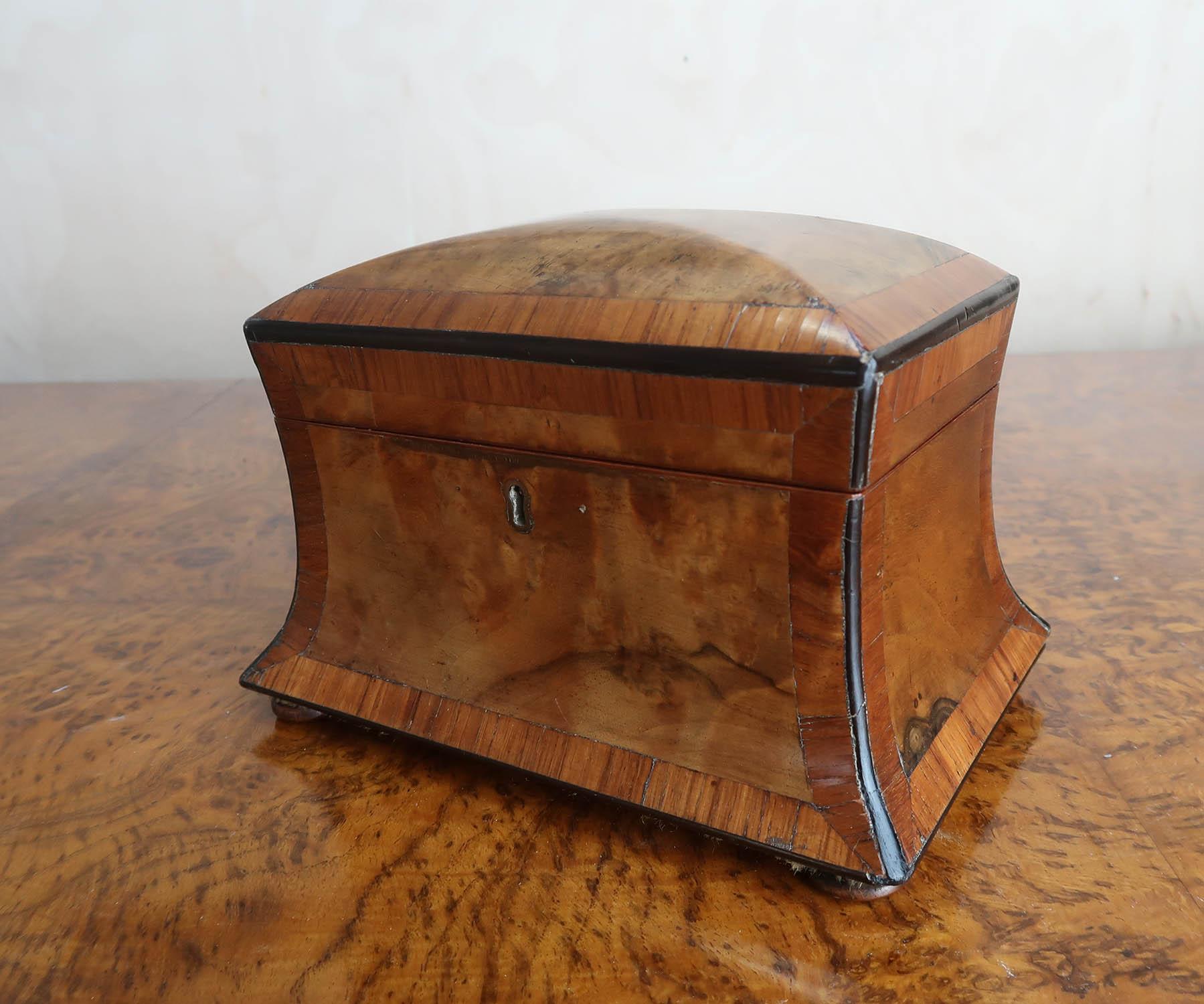 Small Antique Regency Burr Walnut Tea Caddy. English C.1820 In Good Condition In St Annes, Lancashire