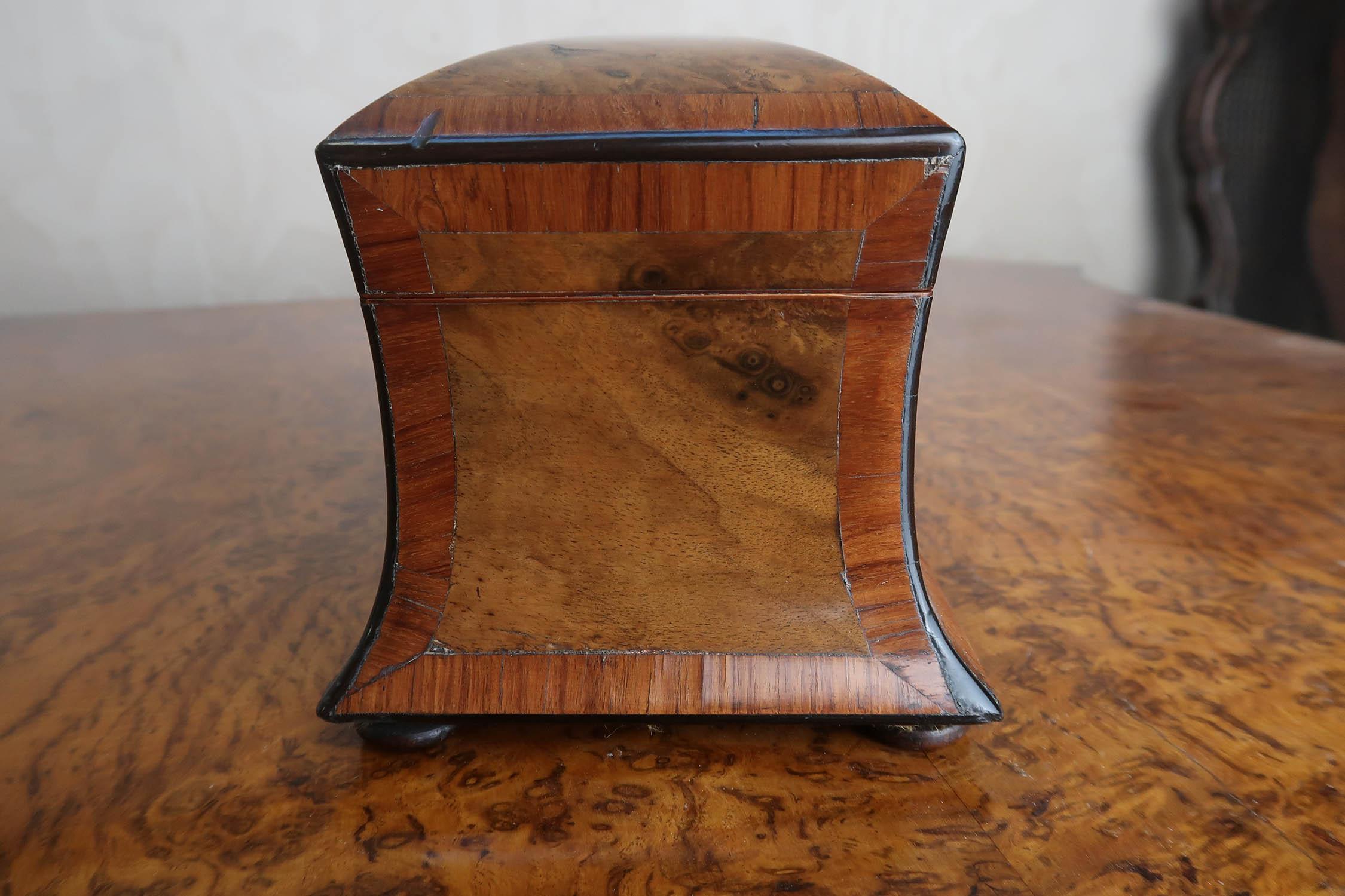 Small Antique Regency Burr Walnut Tea Caddy. English C.1820 1