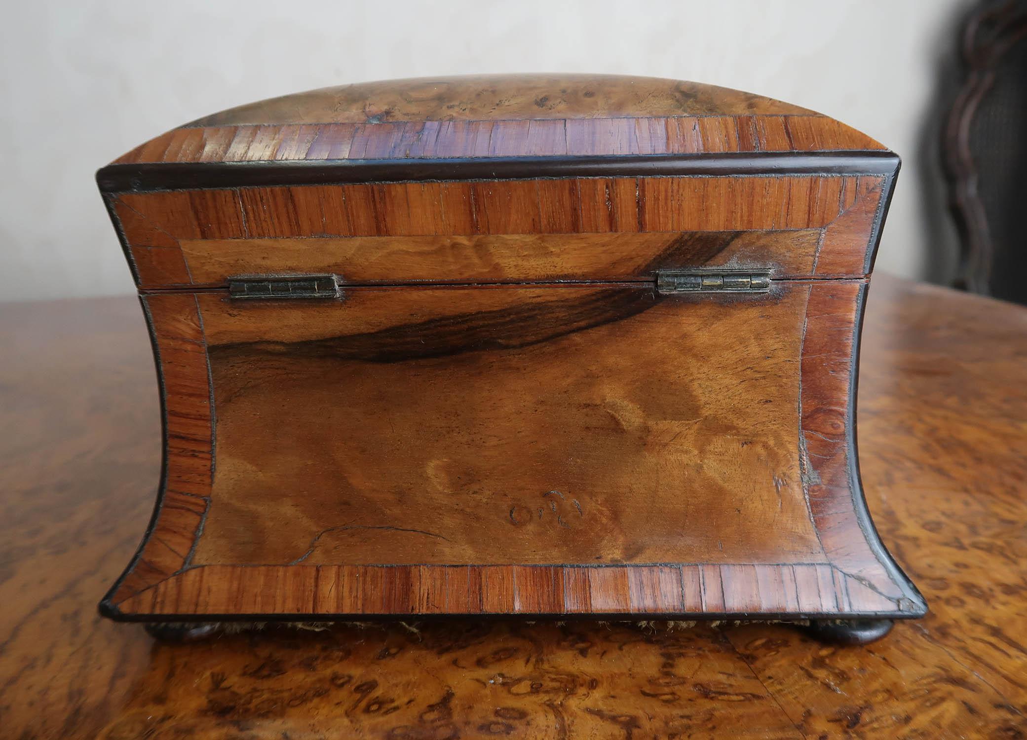 Small Antique Regency Burr Walnut Tea Caddy. English C.1820 2