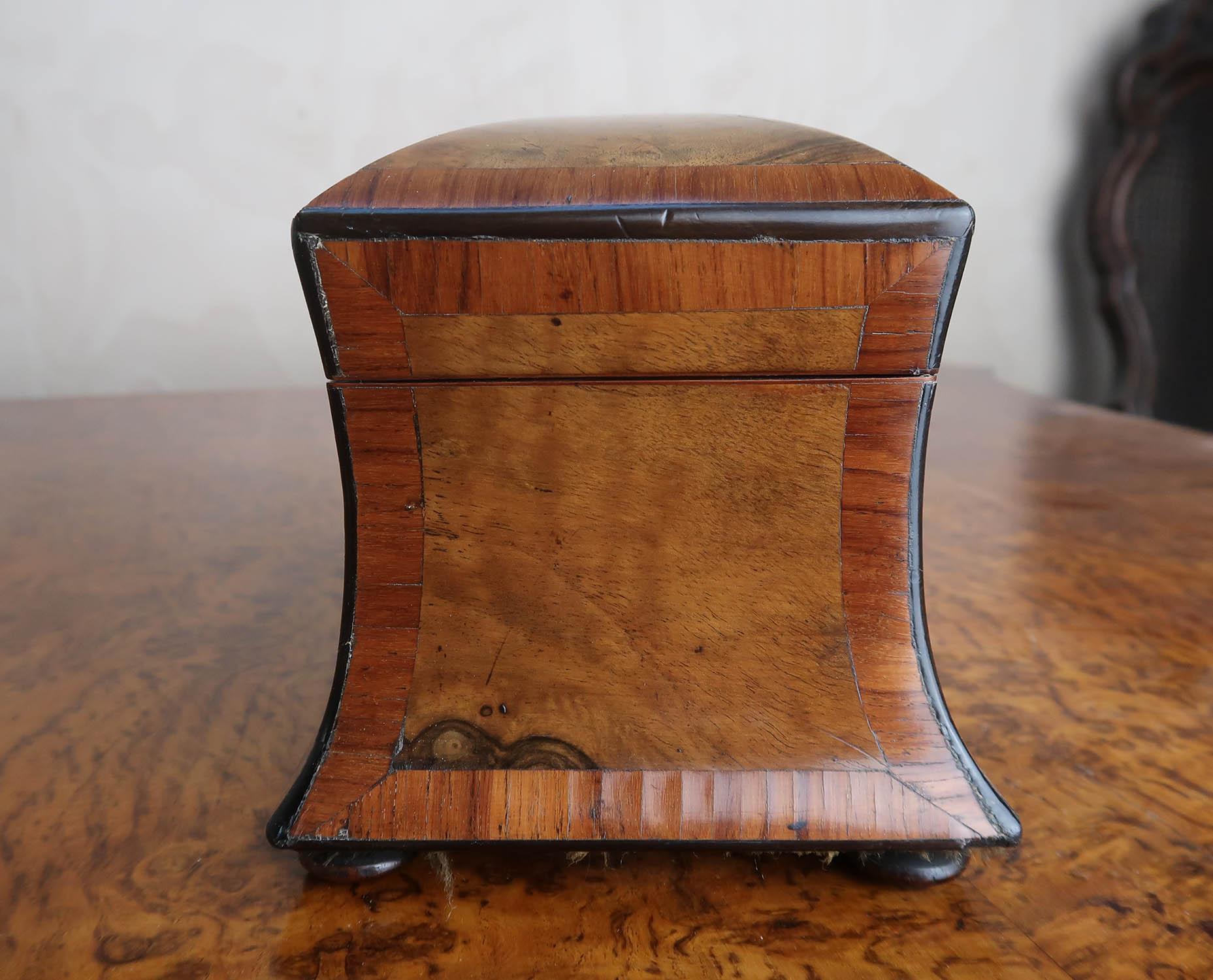 Small Antique Regency Burr Walnut Tea Caddy. English C.1820 3