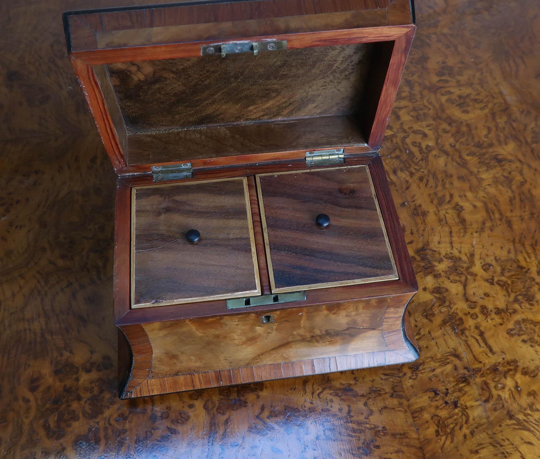 Small Antique Regency Burr Walnut Tea Caddy. English C.1820 4