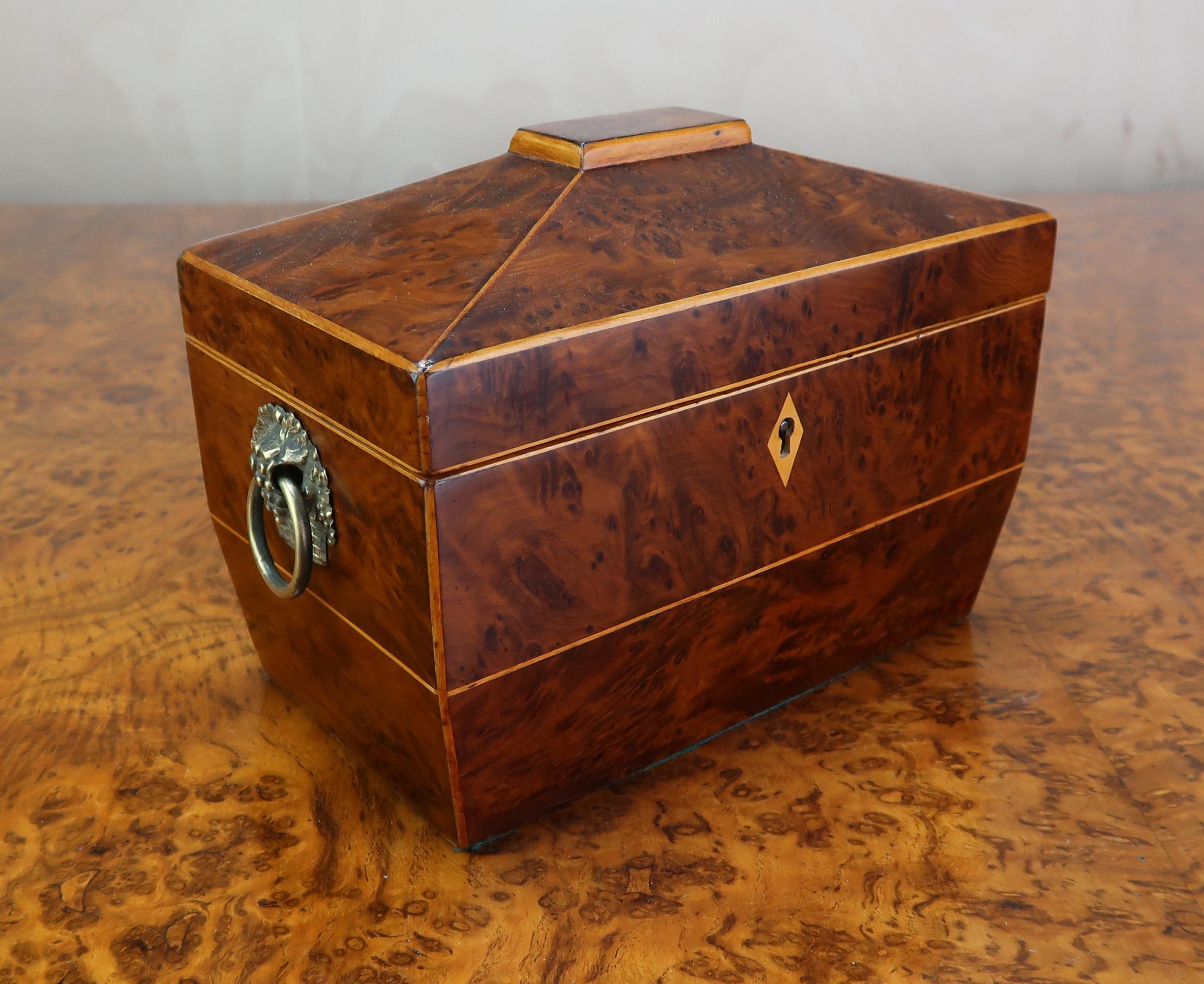 Eine schöne Teedose aus der Regency-Zeit. 

Zwei Fächer im Inneren mit Deckeln

Wurzelholz der Eibe mit Buchsbaumbespannung

Original-Hardware

Mit Schlüssel

Kostenloser Versand in Großbritannien

  