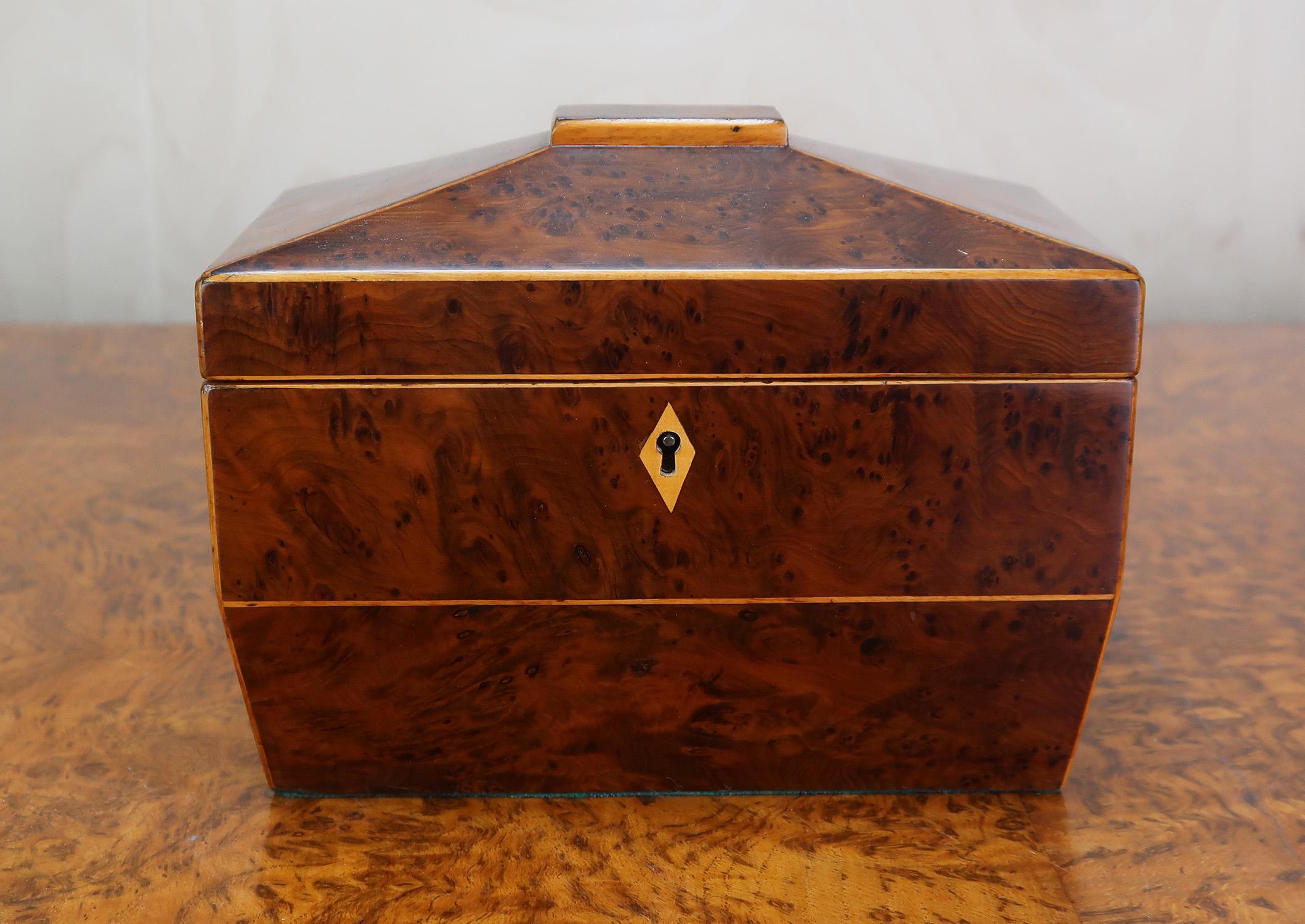 Kleine antike Regency Eibenholz Teedose . Englisch C.1830 (Furnier) im Angebot