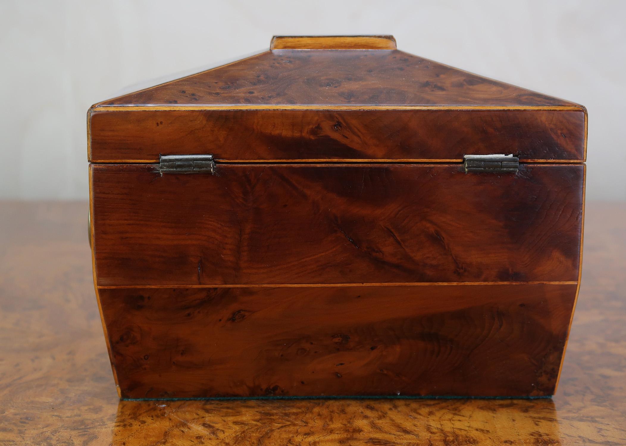 Kleine antike Regency Eibenholz Teedose . Englisch C.1830 im Angebot 2