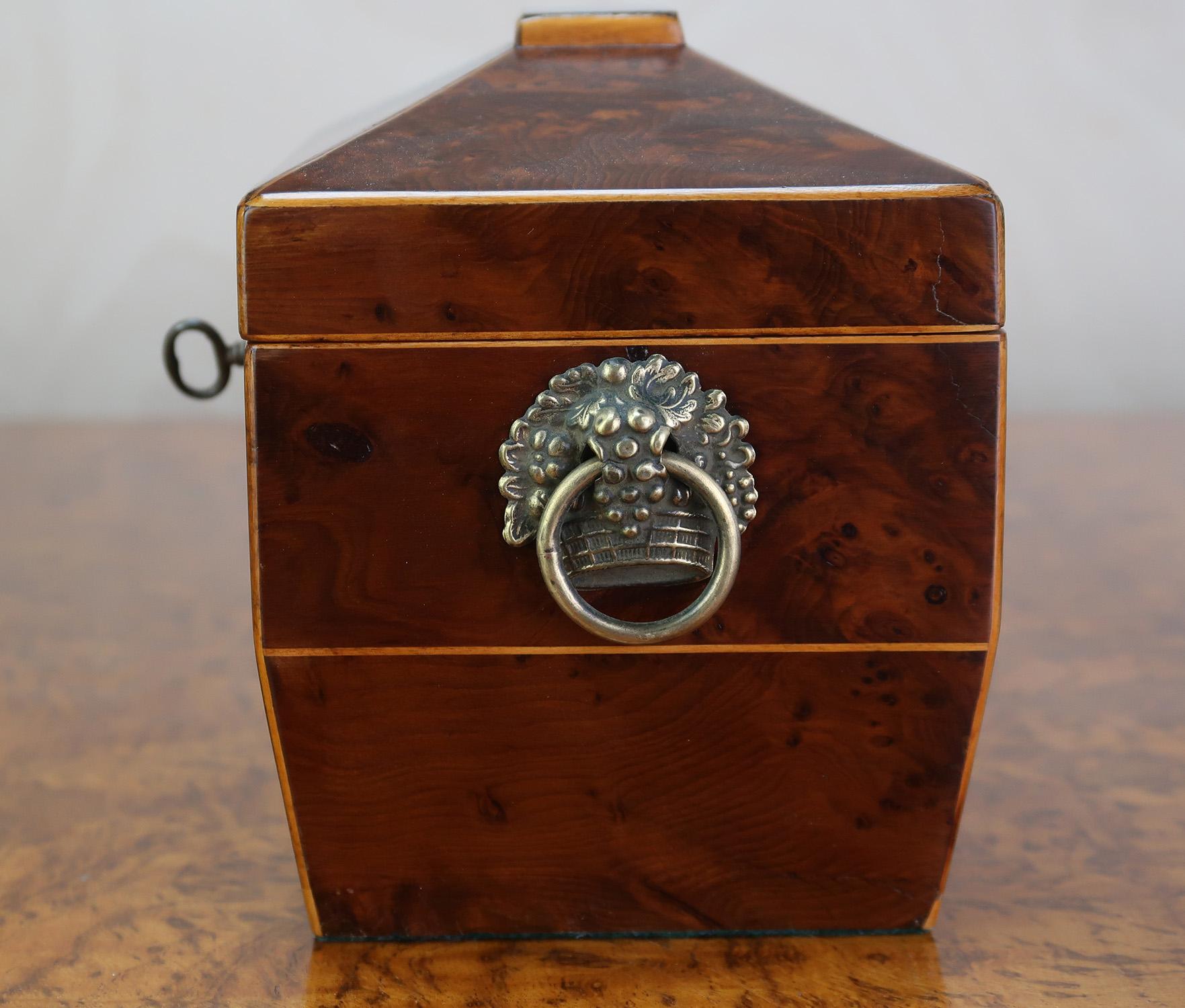 Kleine antike Regency Eibenholz Teedose . Englisch C.1830 im Angebot 3