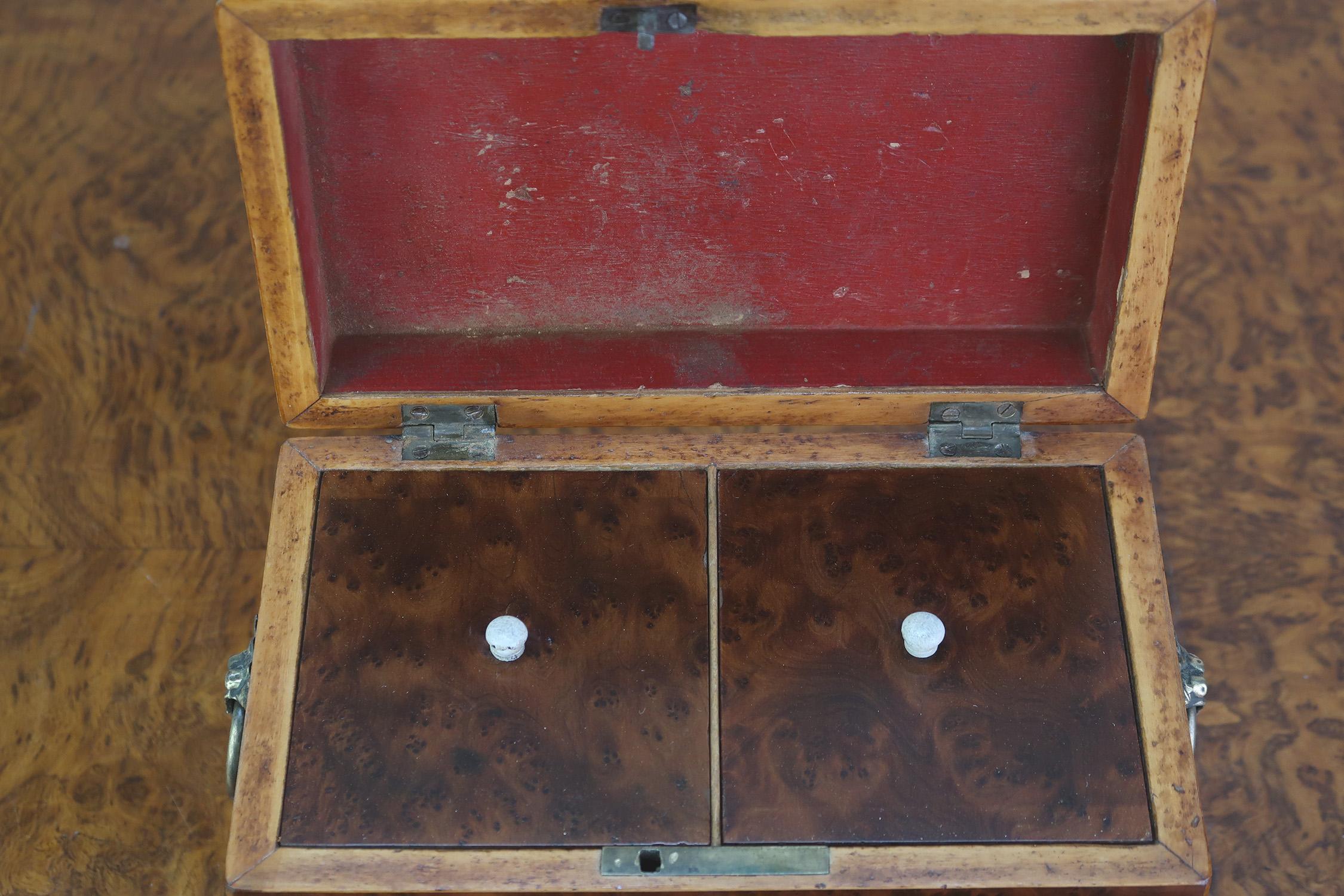 Kleine antike Regency Eibenholz Teedose . Englisch C.1830 im Angebot 4
