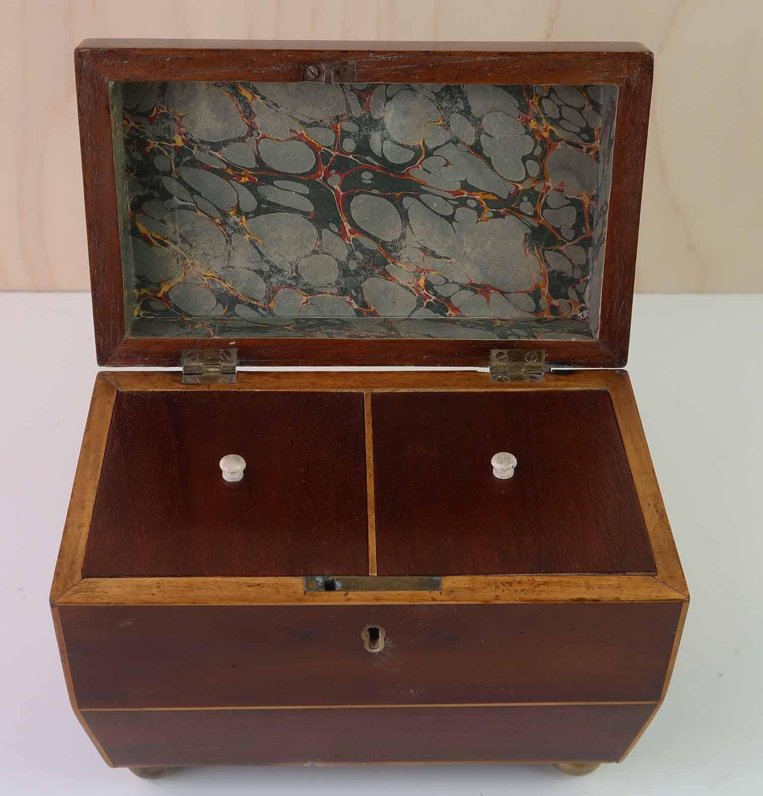 Legno Piccolo sarcofago antico a forma di porta tè. Inglese C.1830 in vendita