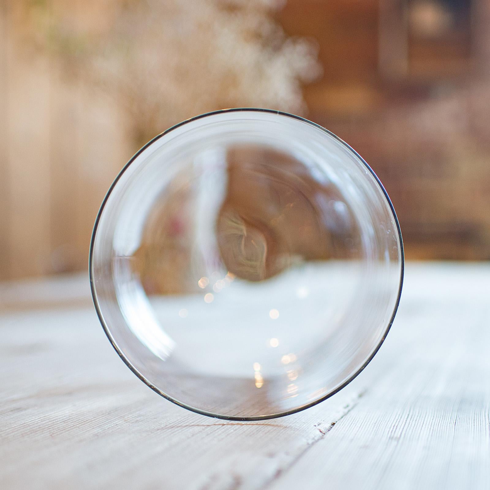 Glass Small Antique Specimen Dome, English, Botany, Taxidermy, Display Case, Victorian For Sale
