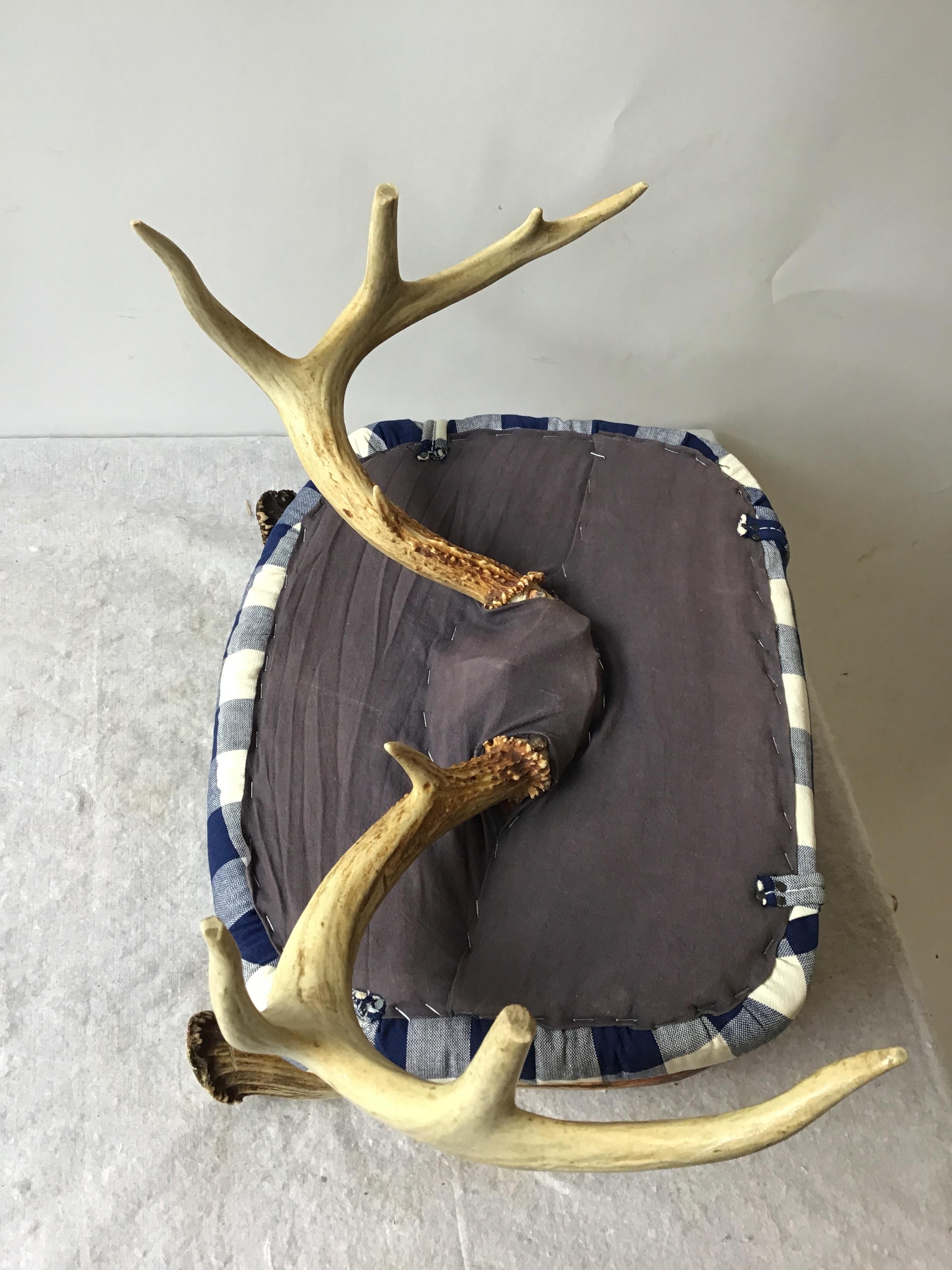 Small Antler Chair 4