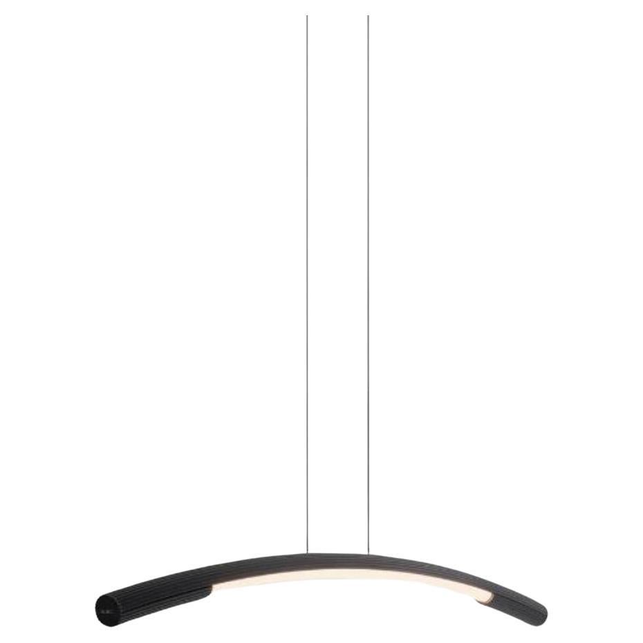 Small Black Palo Pendant Lamp by Wentz For Sale
