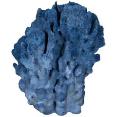 Small Blue Coral
