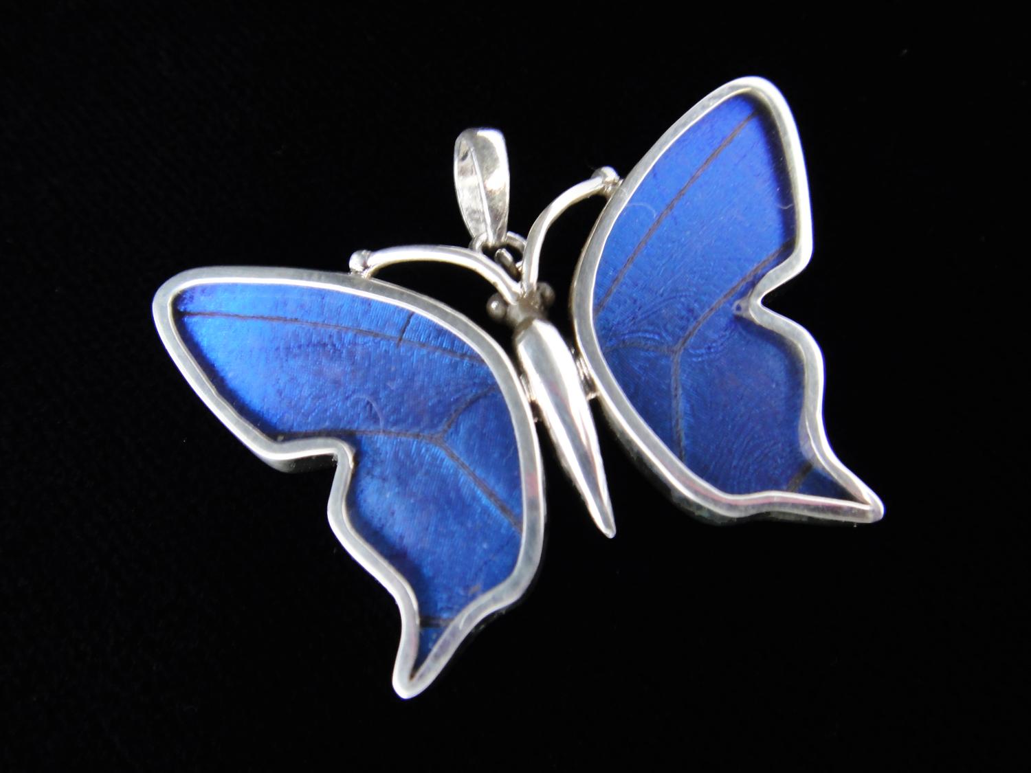 This Small Blue Morpho (Morpho didius) Pendant is part of our Shimmerwings Collection and is made from butterfly wings! Set in a delicate butterfly shaped setting of sterling silver, it is handcrafted in Peru by our Certified World Fair Trade