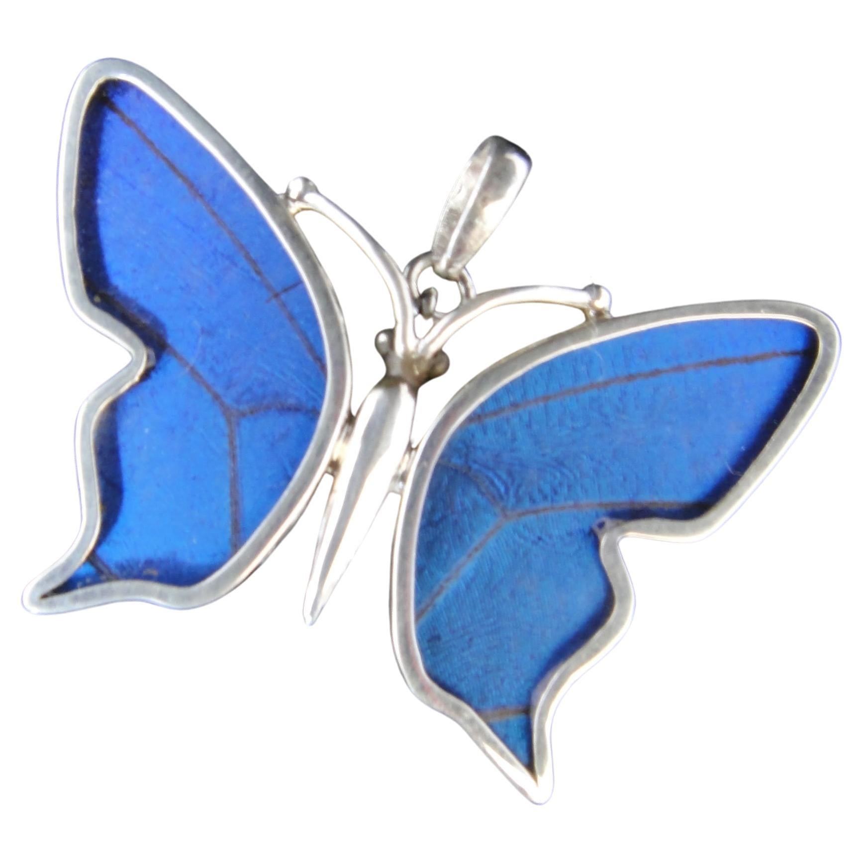 Small "Blue Morpho" Butterfly Pendant For Sale