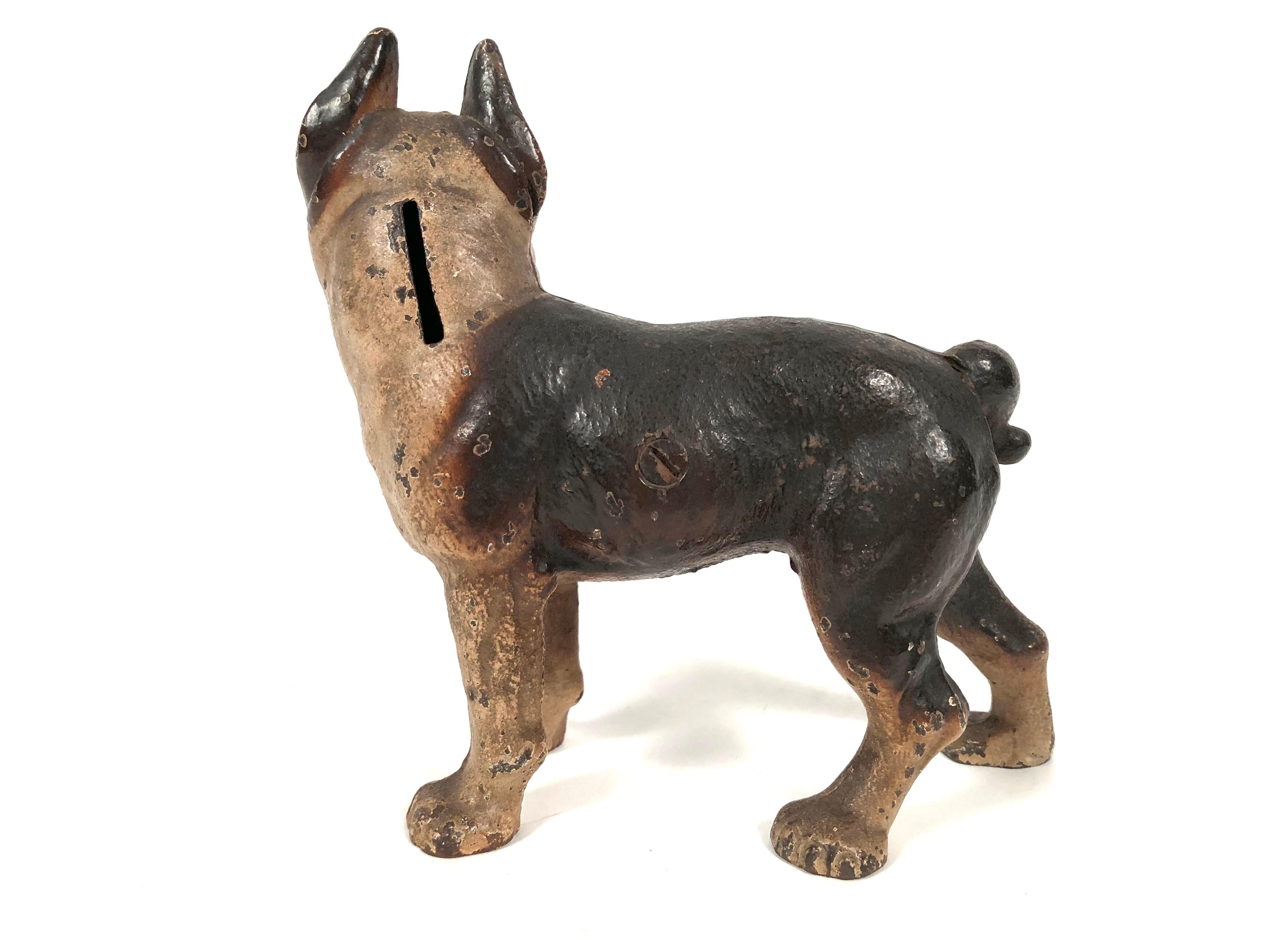 American Small Boston Terrier Painted Cast Iron Coin Bank