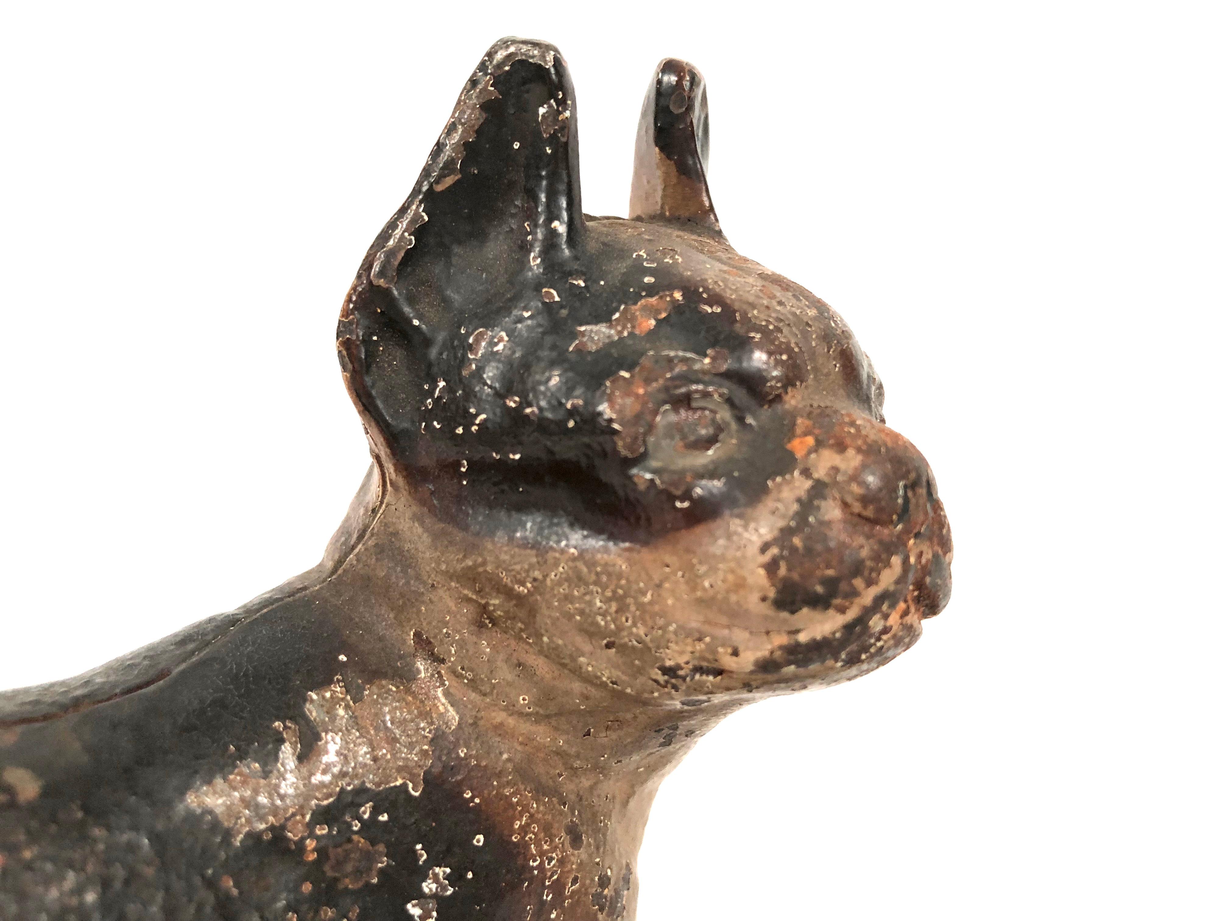 Early 20th Century Small Boston Terrier Painted Cast Iron Coin Bank