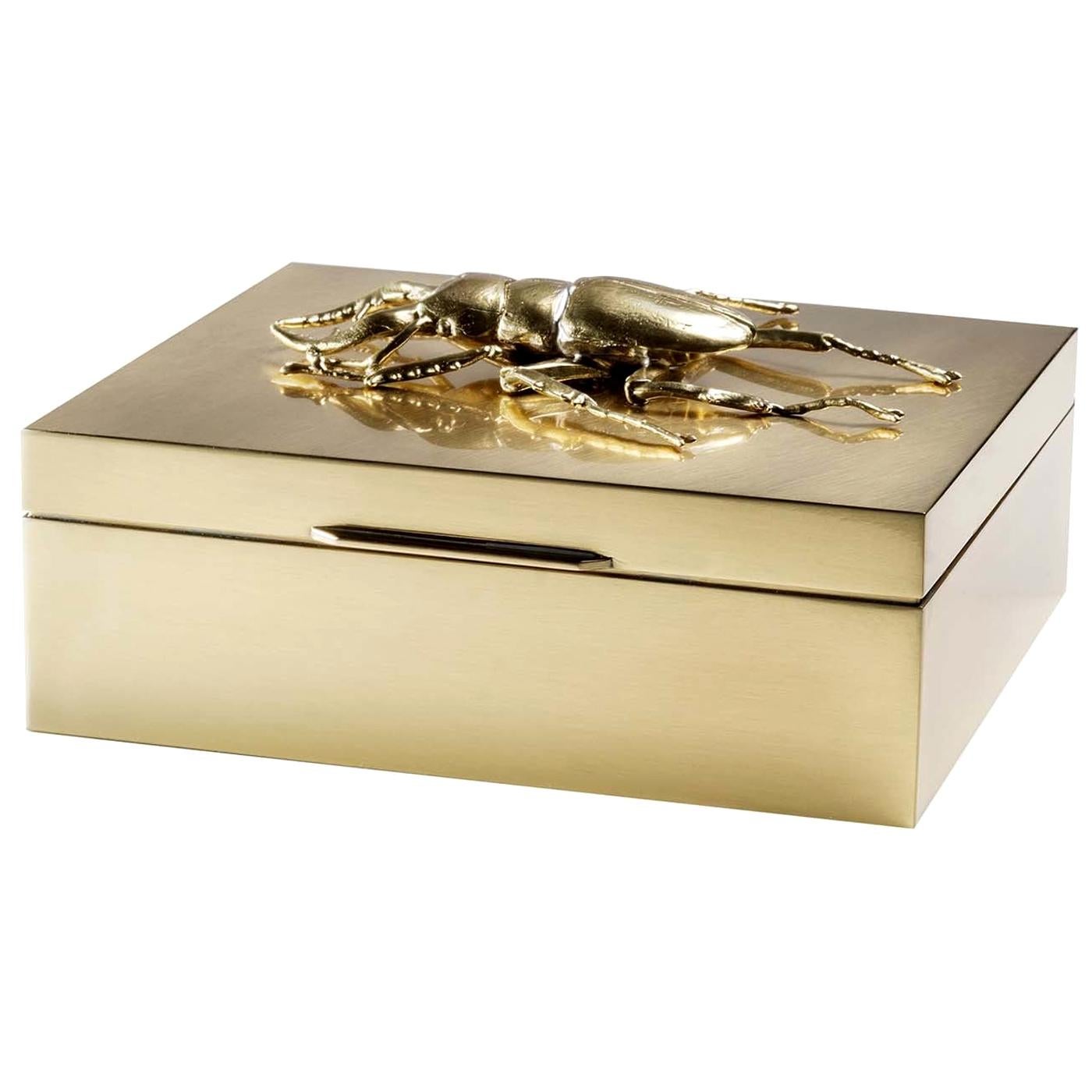 Small Brass Beetle Secret Box For Sale
