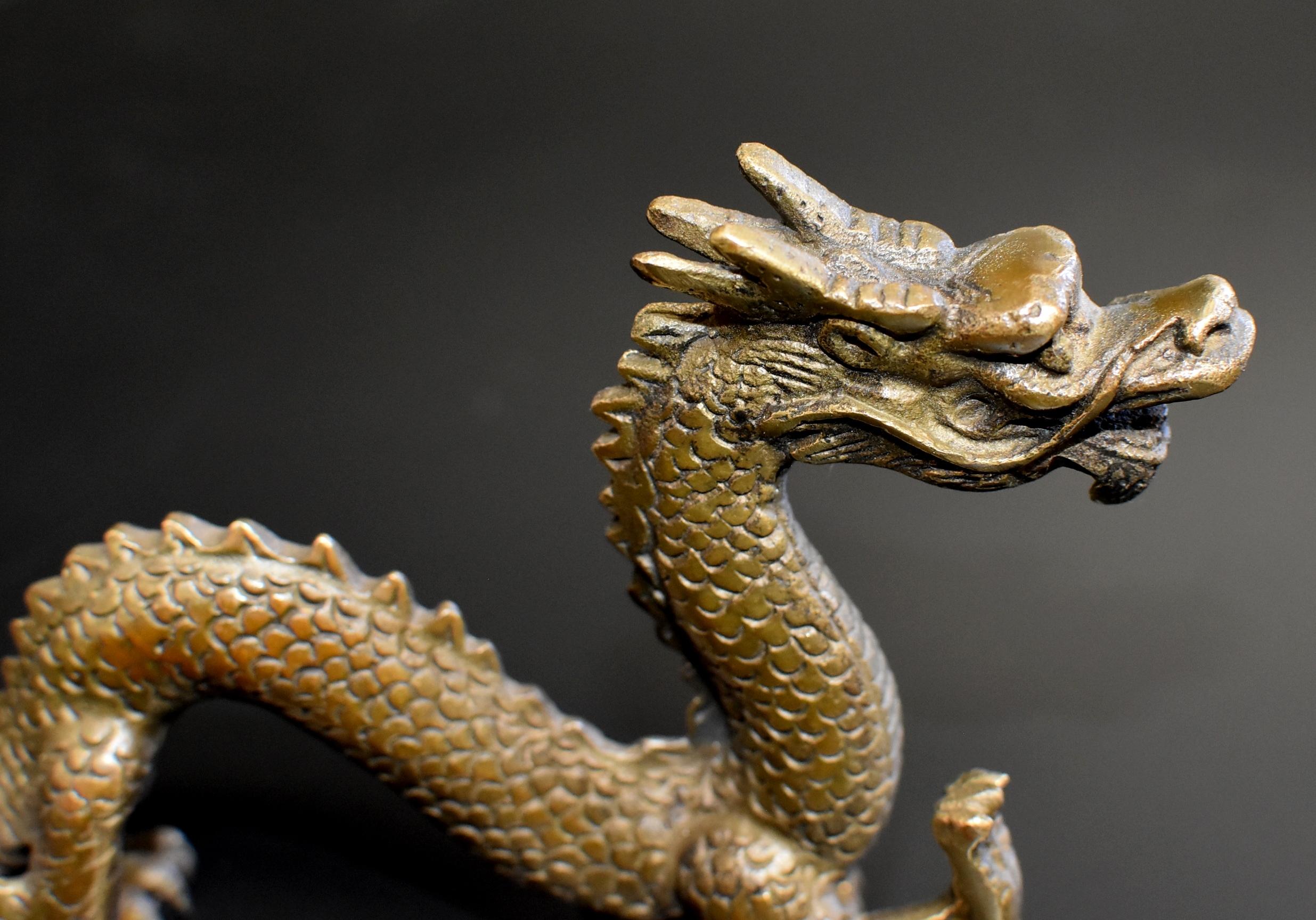 Small Bronze Dragon 4