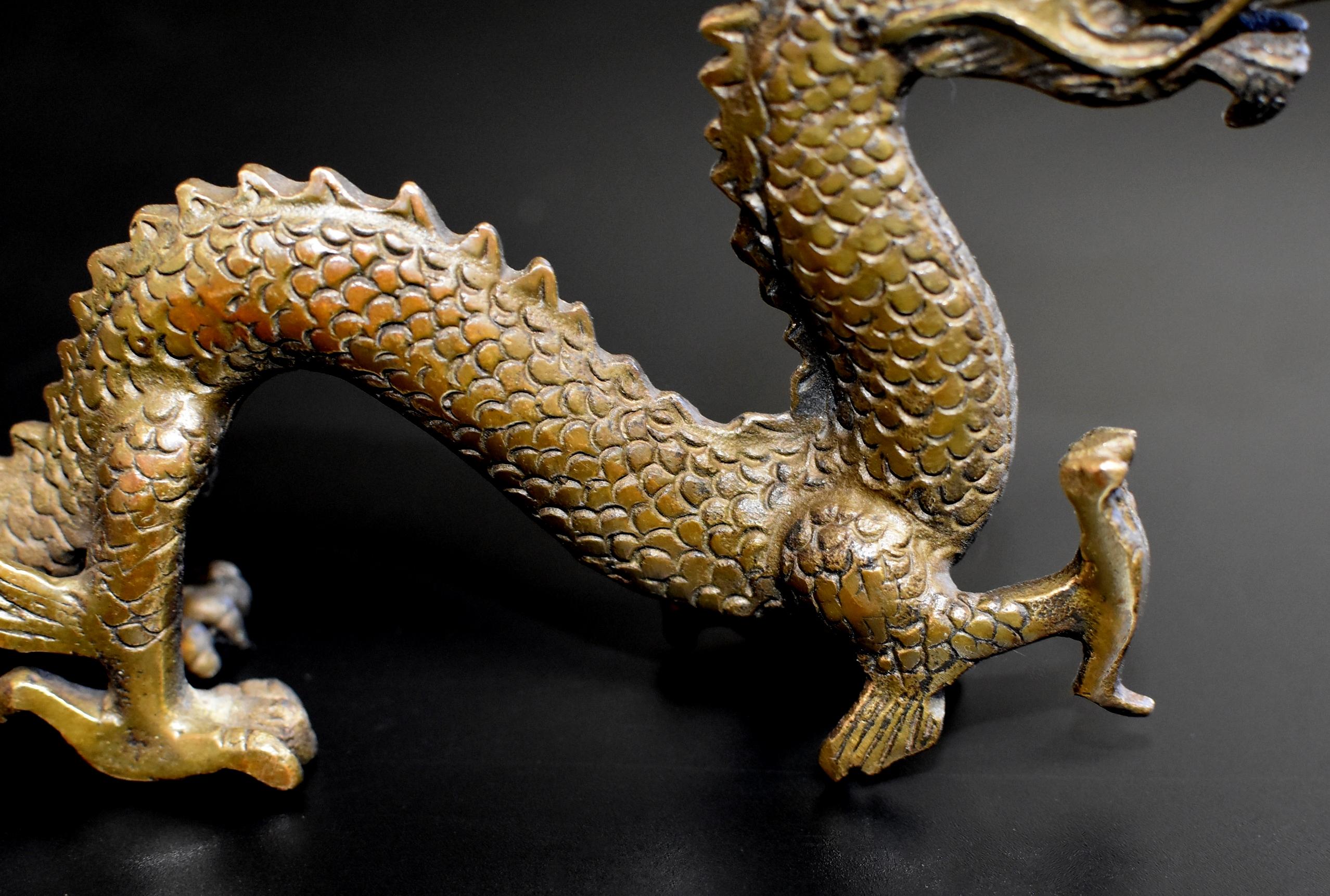 Small Bronze Dragon 5