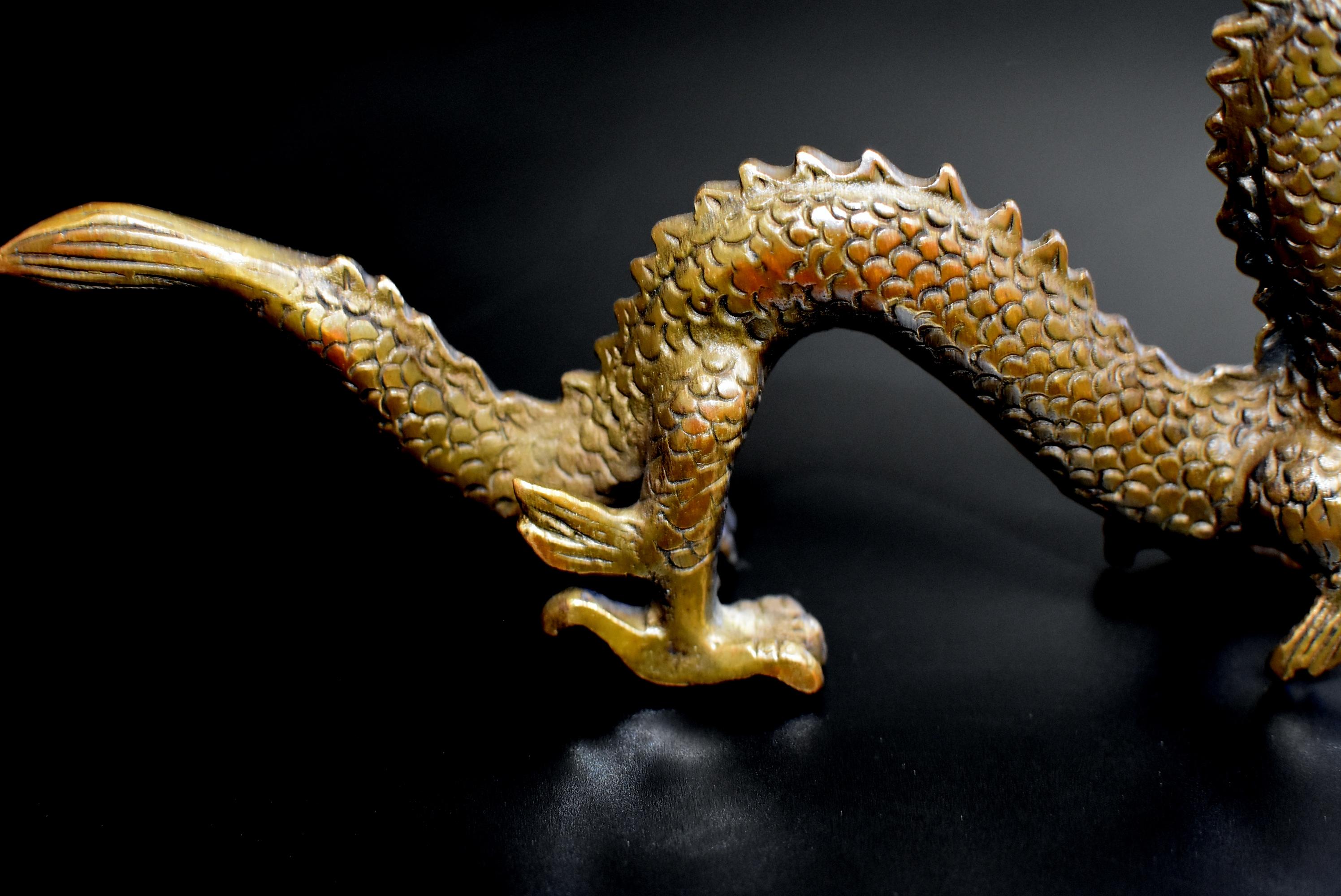 Small Bronze Dragon 6