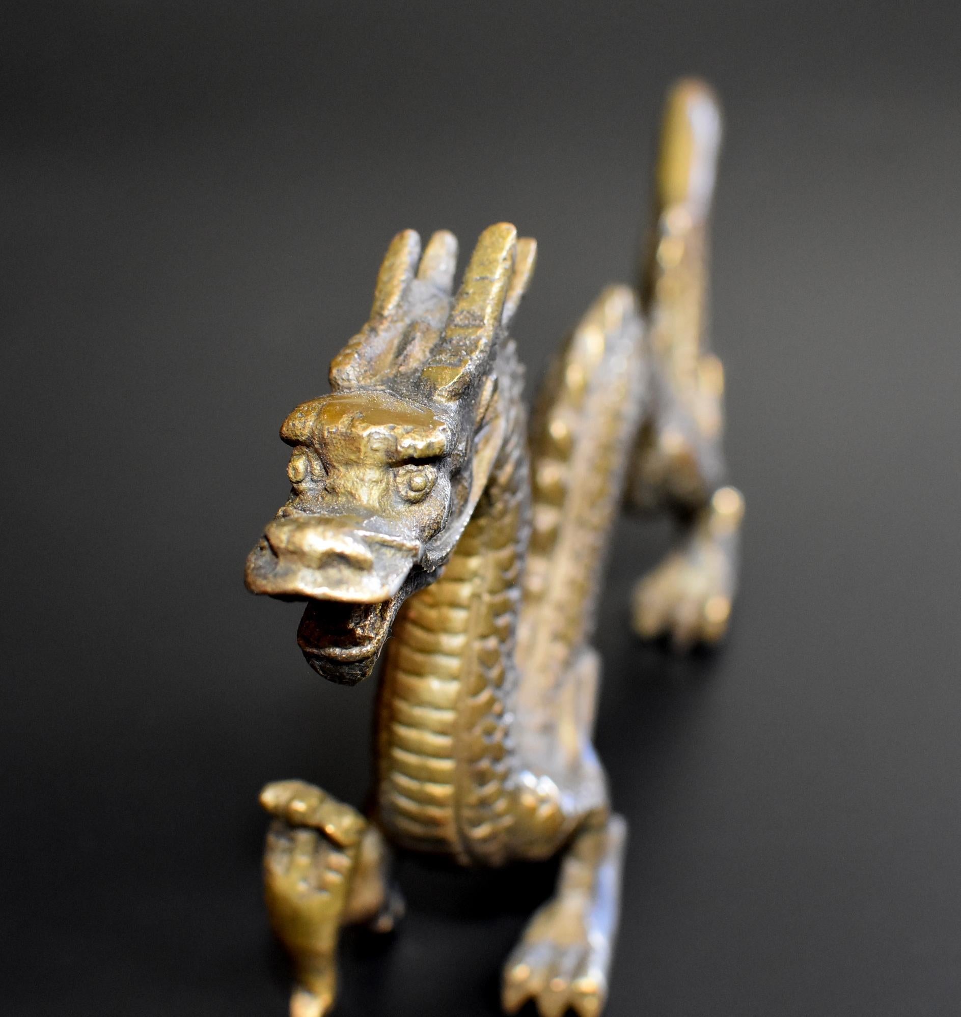 Small Bronze Dragon 7