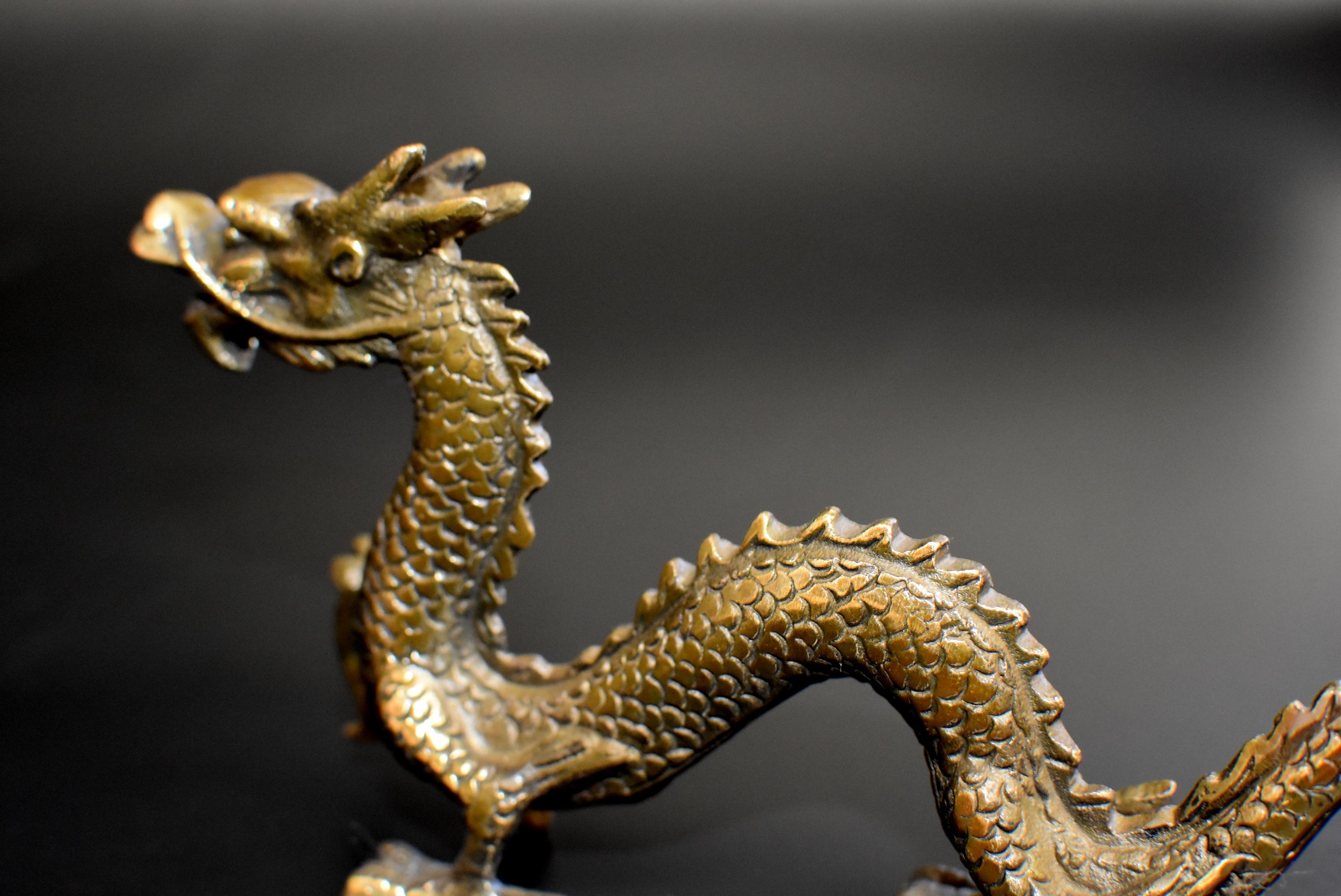 Small Bronze Dragon 10