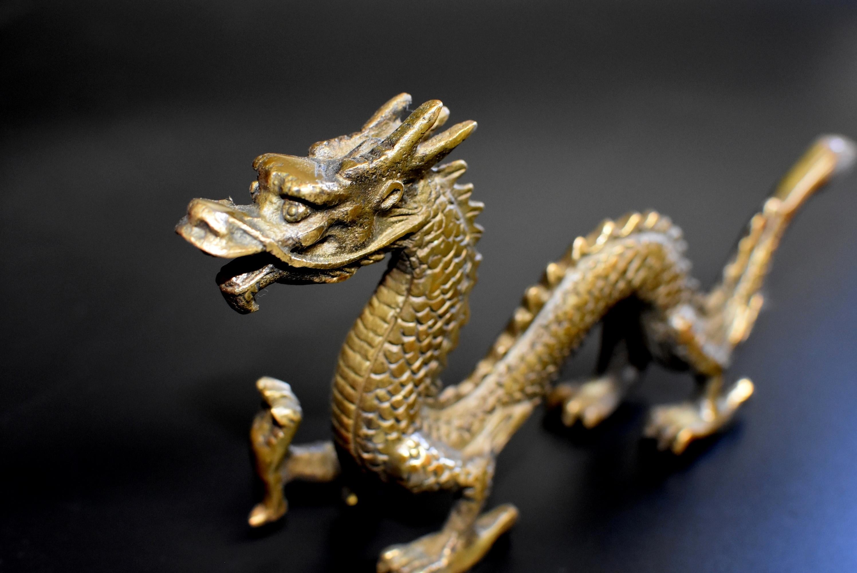 Small Bronze Dragon 1