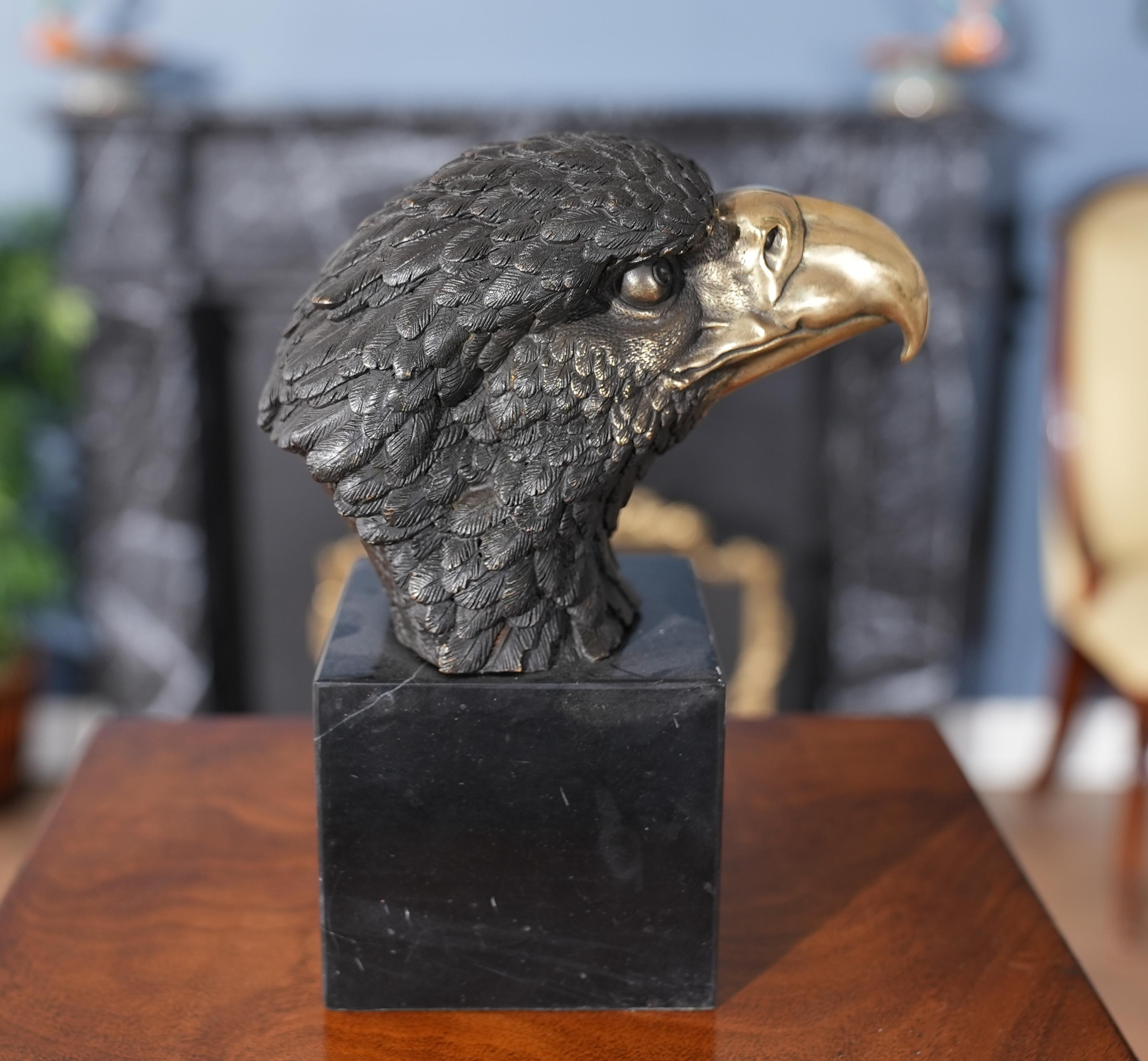 Small Bronze Eagle Bust on Marble Base For Sale 2