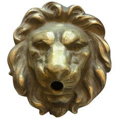 Small, Bronze Lionhead Spout Cover