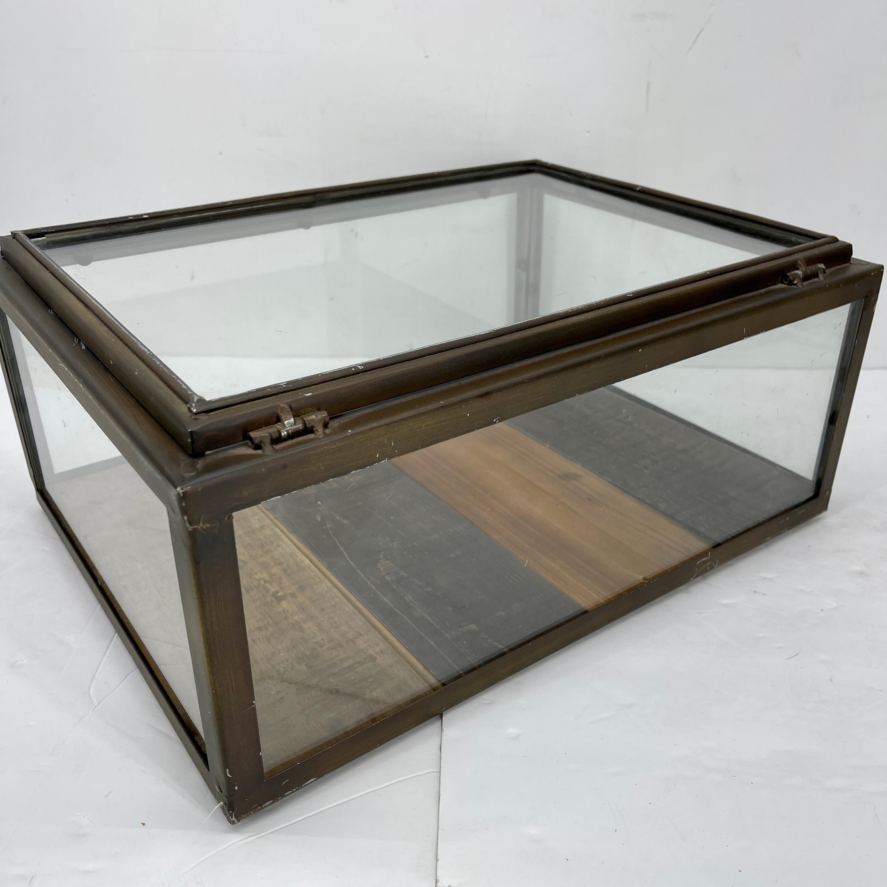 Small Bronzed Rectangular Table Display Cabinet Vitrine 9