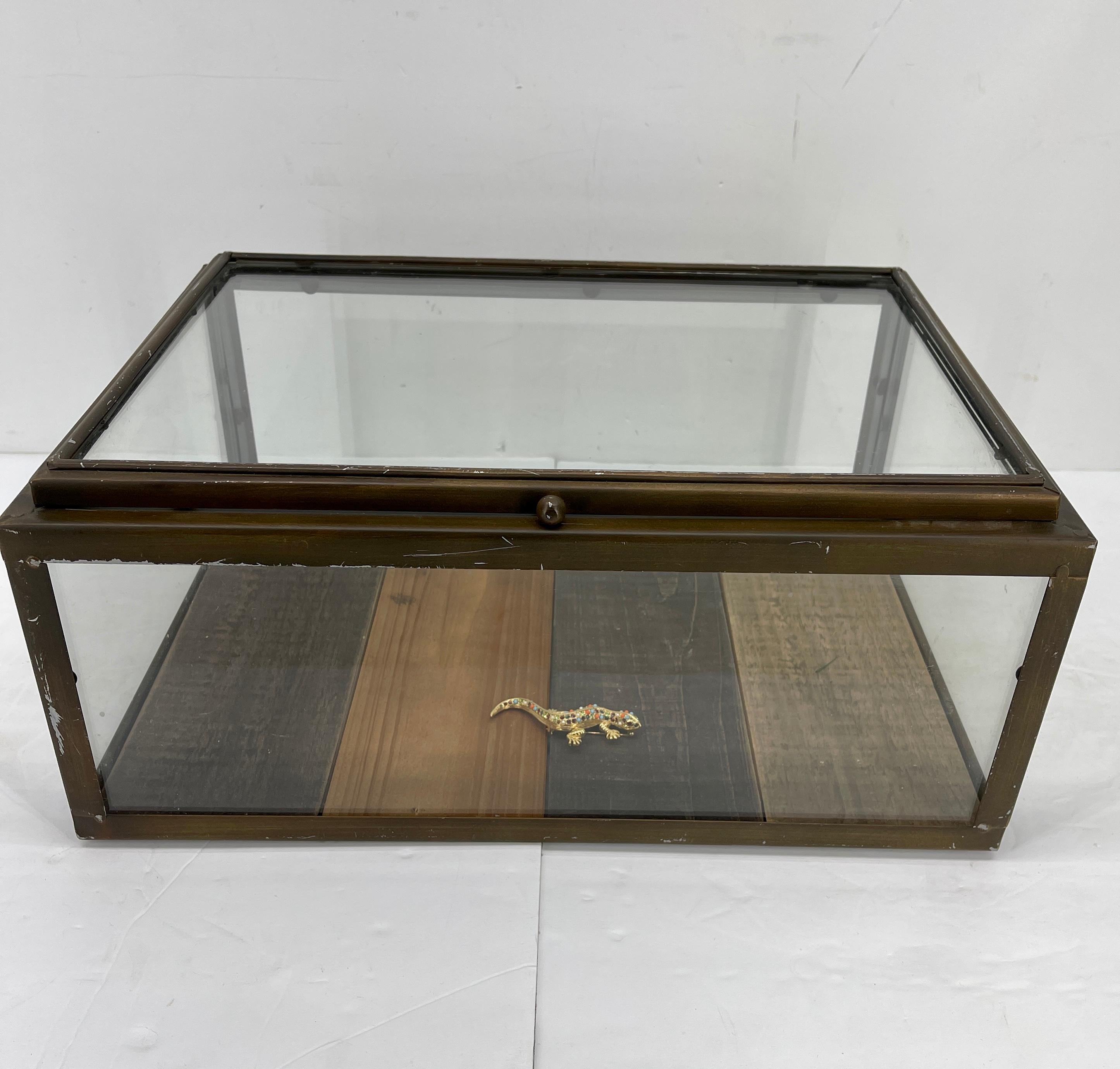 American Small Bronzed Rectangular Table Display Cabinet Vitrine