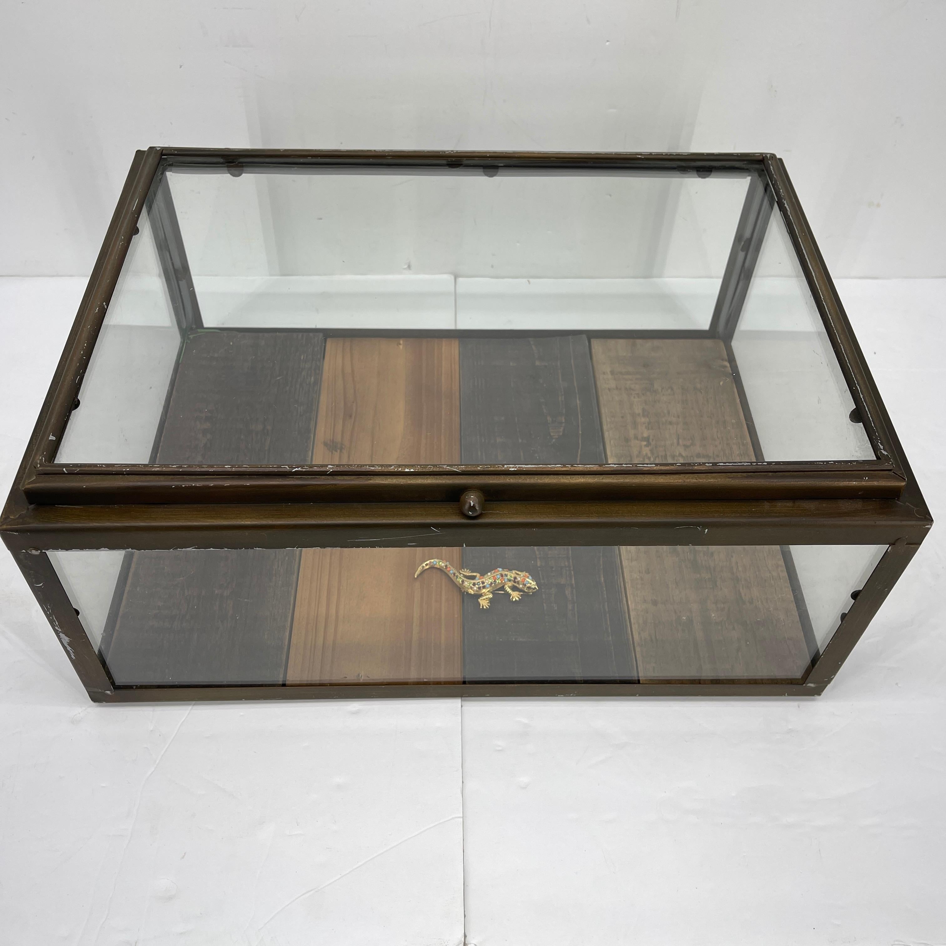 Hand-Crafted Small Bronzed Rectangular Table Display Cabinet Vitrine