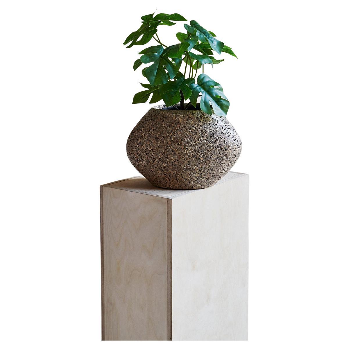 Small Brown Bulbous Wood Vase by Studio Laurence