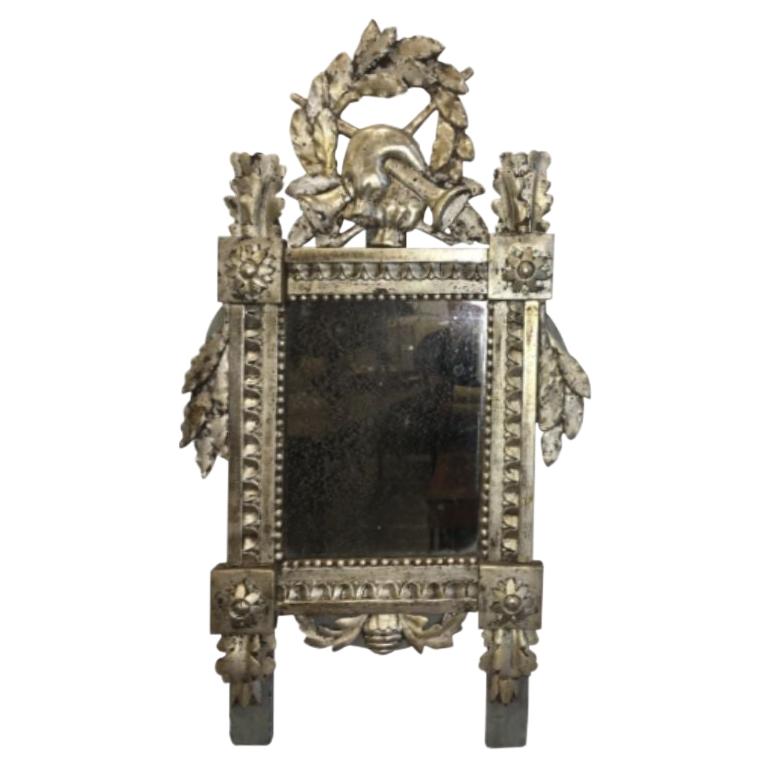 Small Carved and Silver Gilt Louis XVI French Provincial Mirror