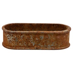 Small Cast Iron Oval Planter, France Early 20th C.