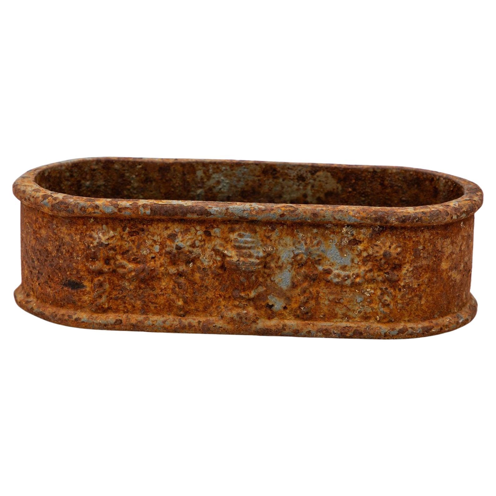 Small Cast Iron Oval Planter, France Early 20th C.